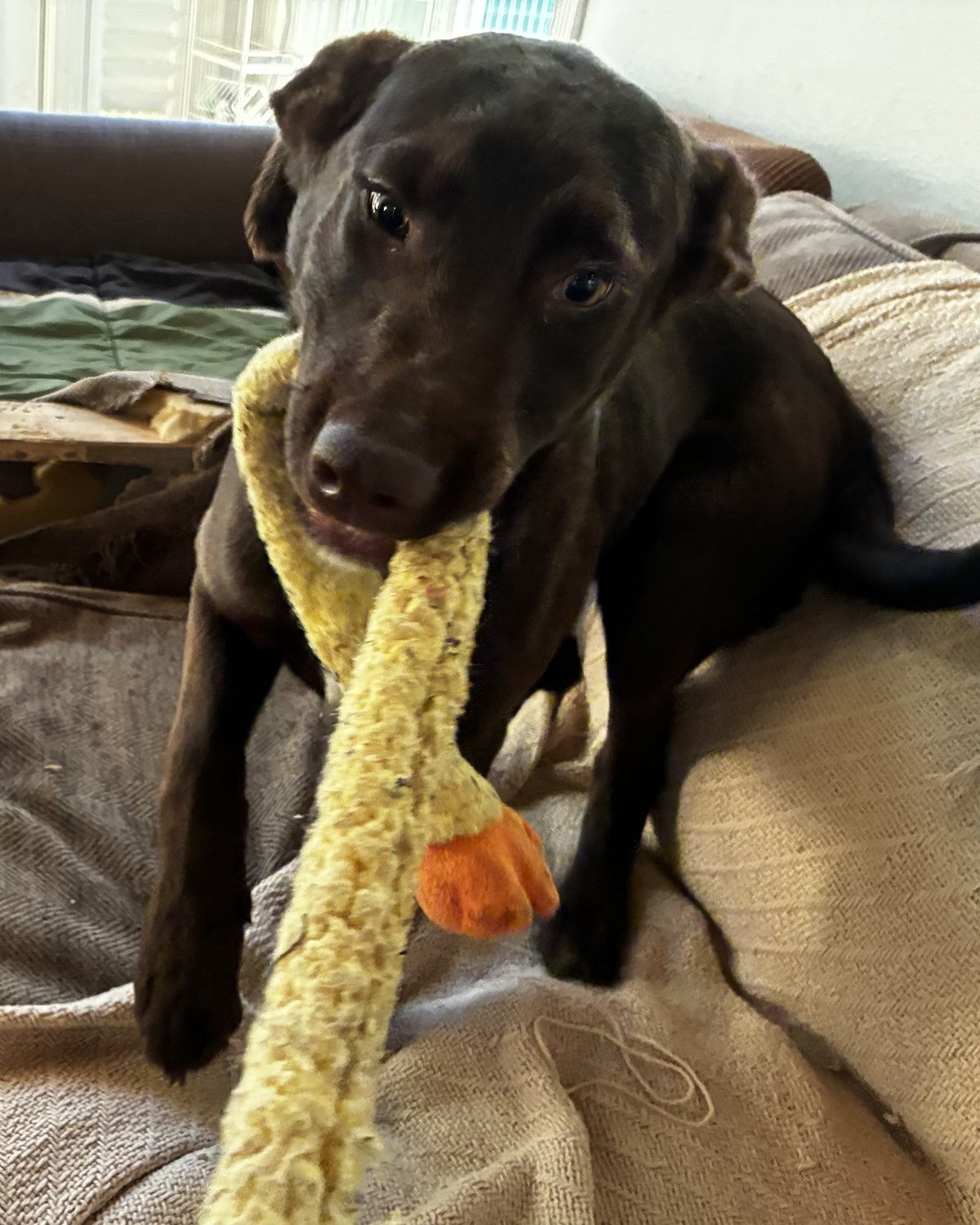 FullSizeRender 2.jpg