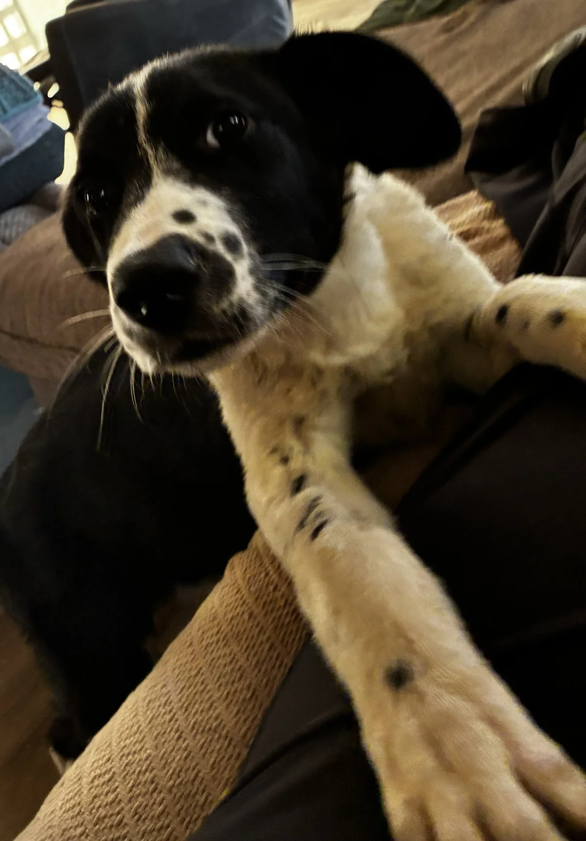 FullSizeRender 2.jpg