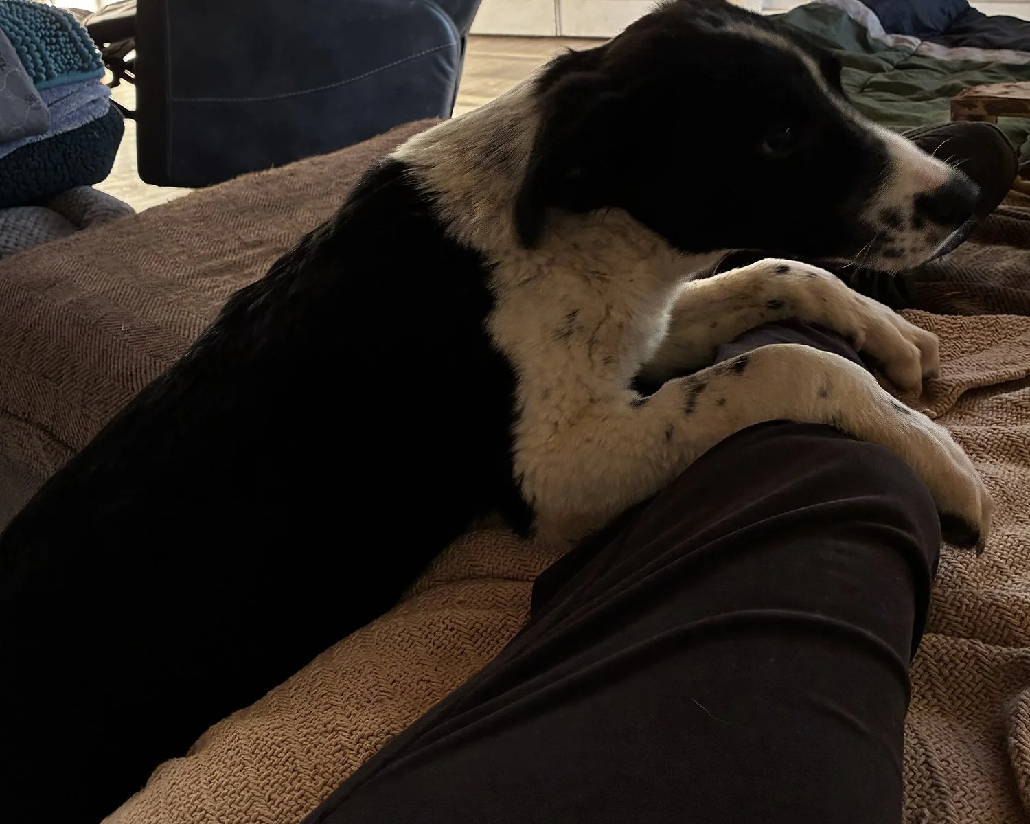 FullSizeRender 3.jpg