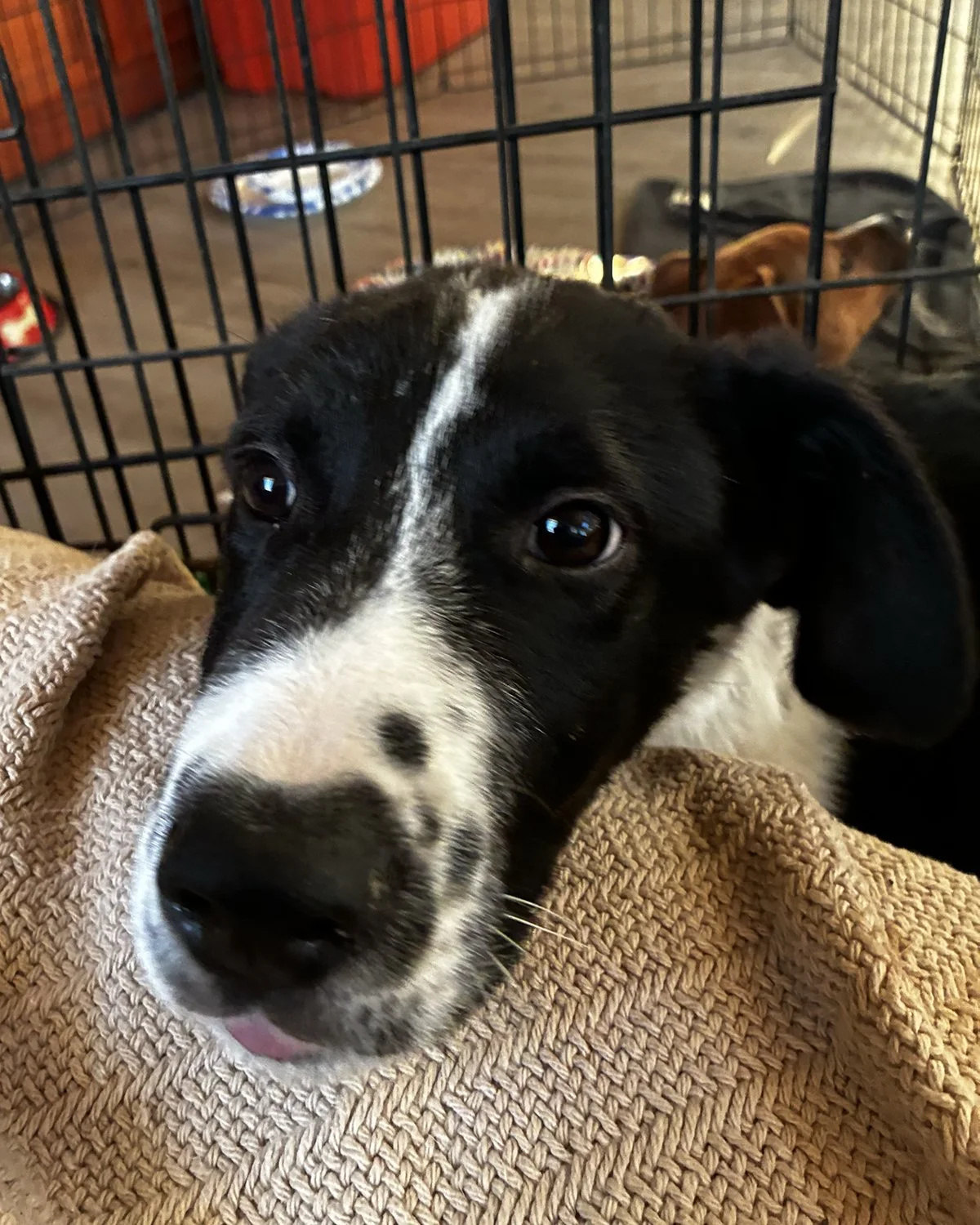 FullSizeRender 5.jpg