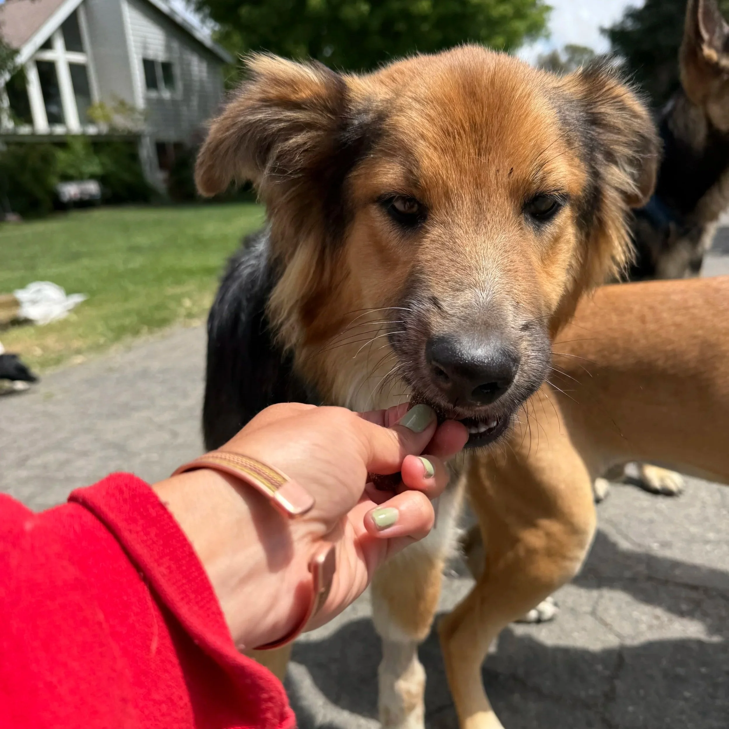 IMG_3796.jpg