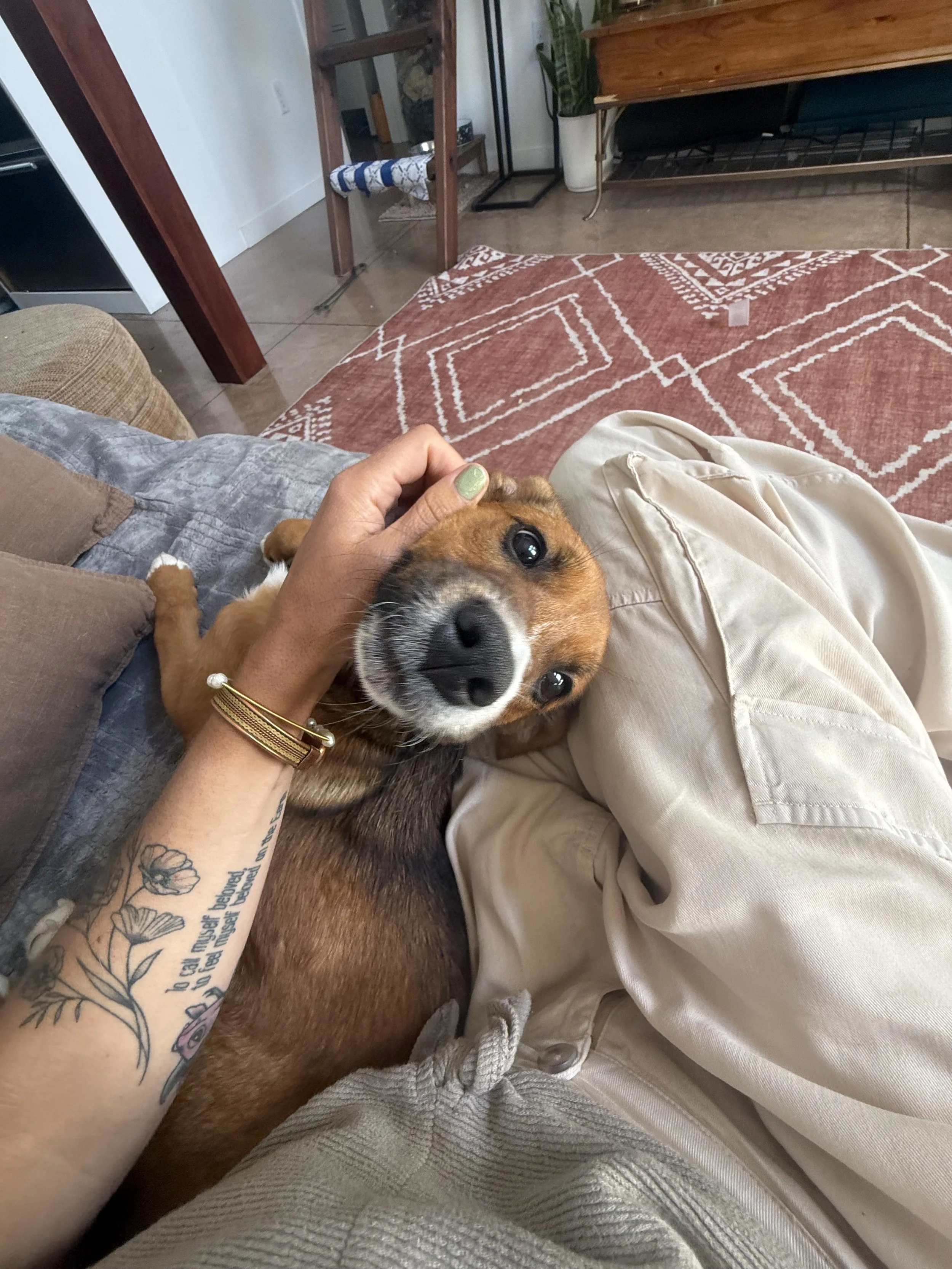 IMG_3039.jpeg