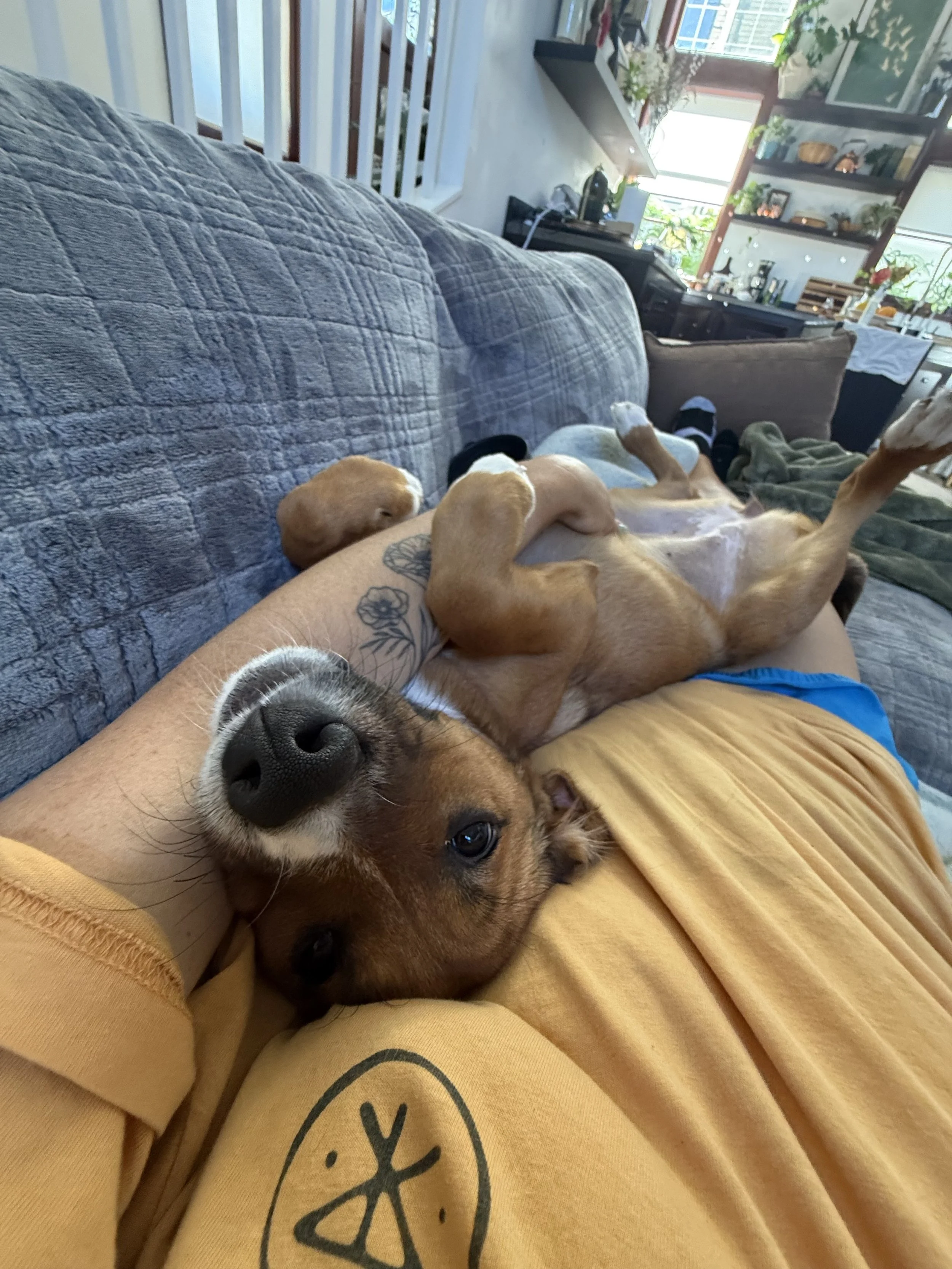 IMG_2941.jpeg