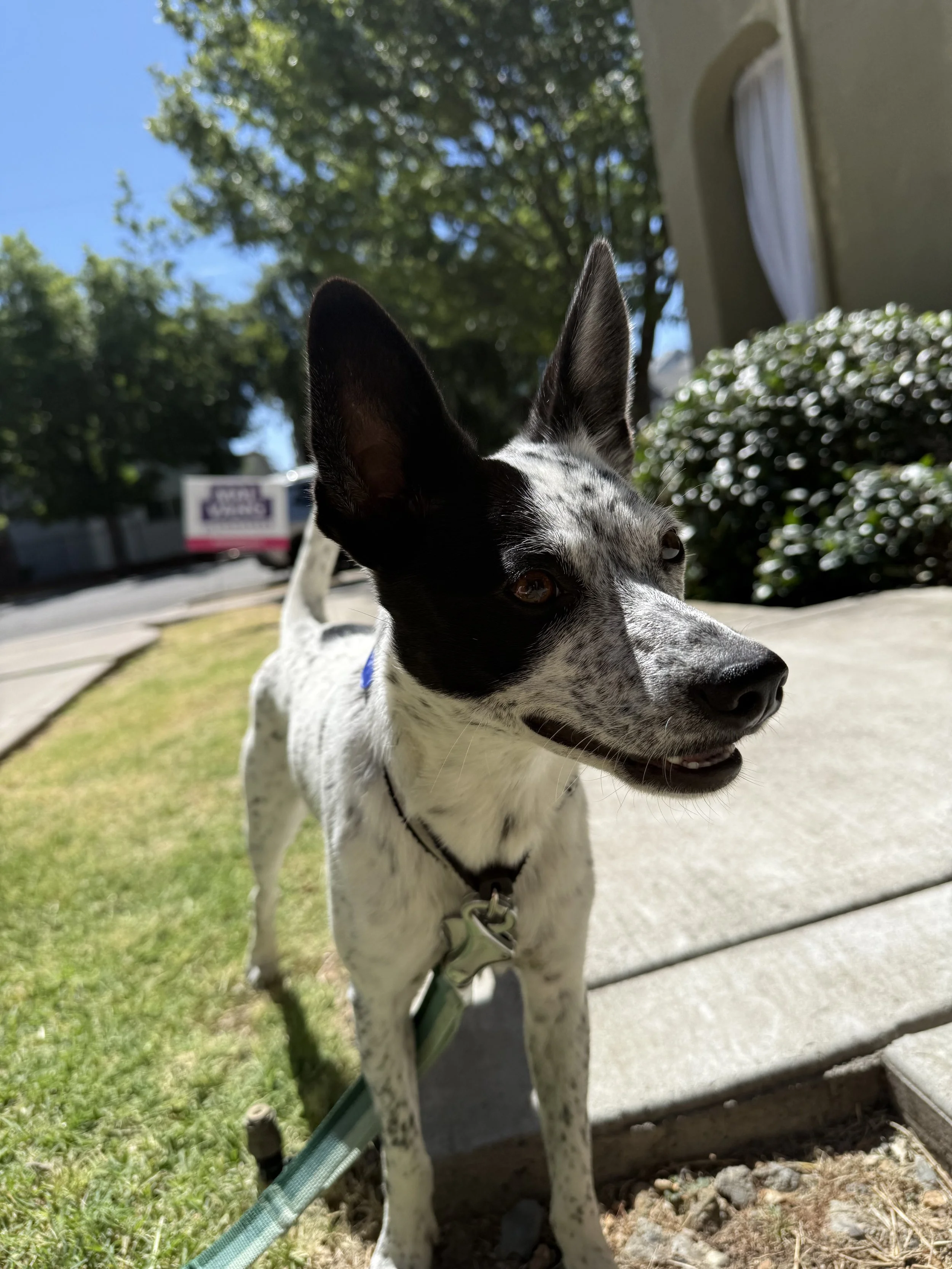 IMG_7728.jpeg