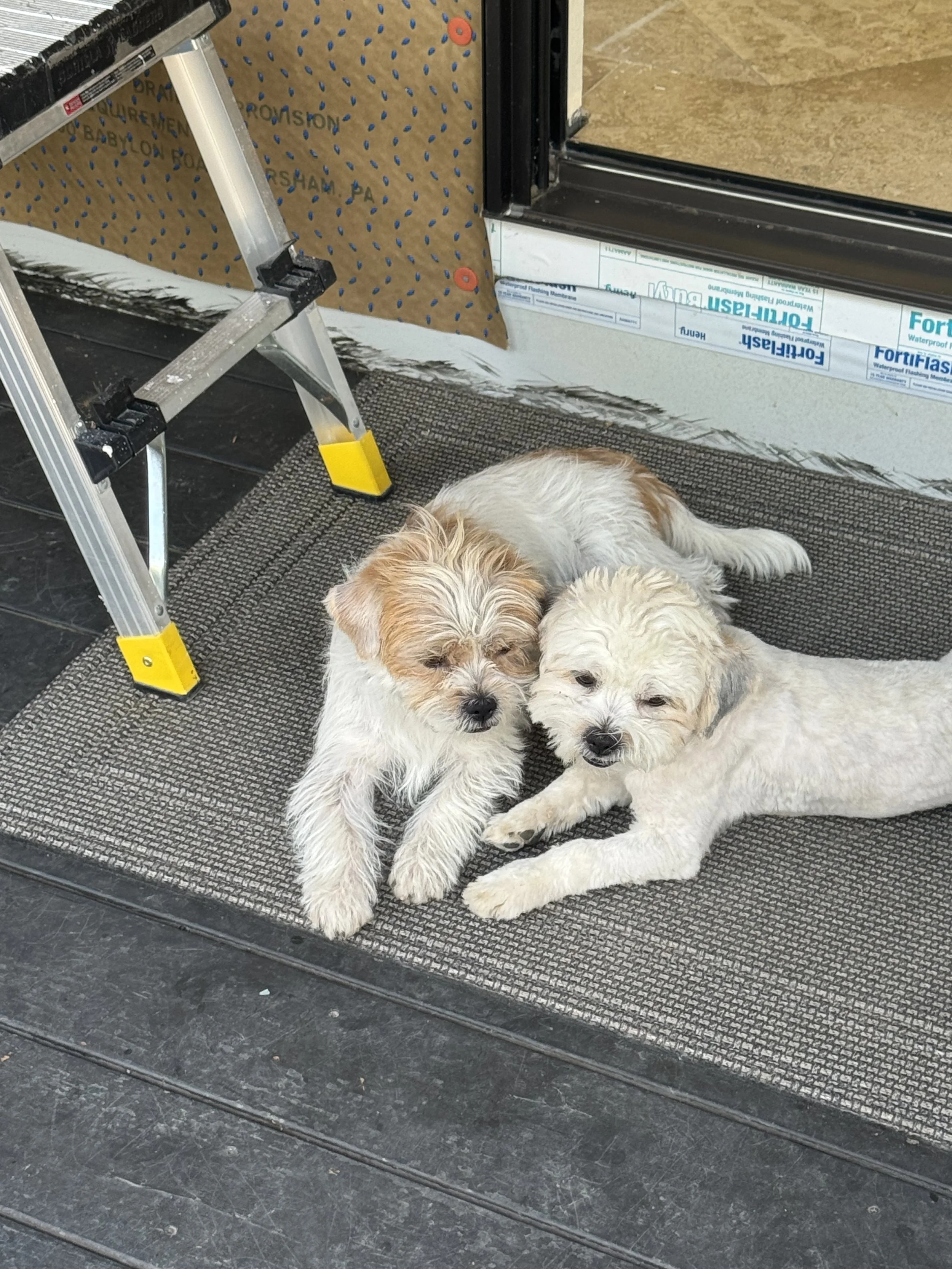 image3 (22).jpeg