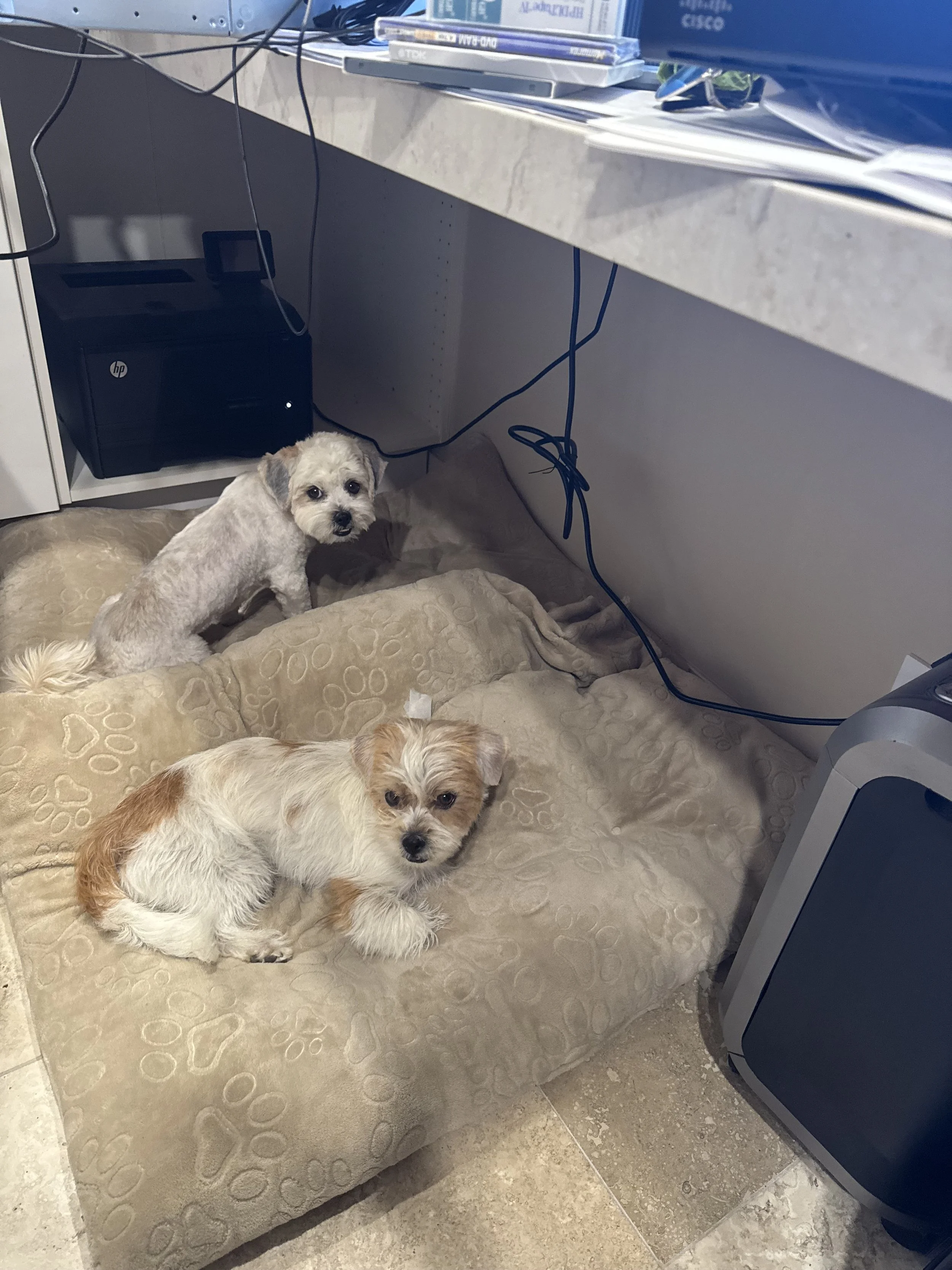 image2 (24).jpeg