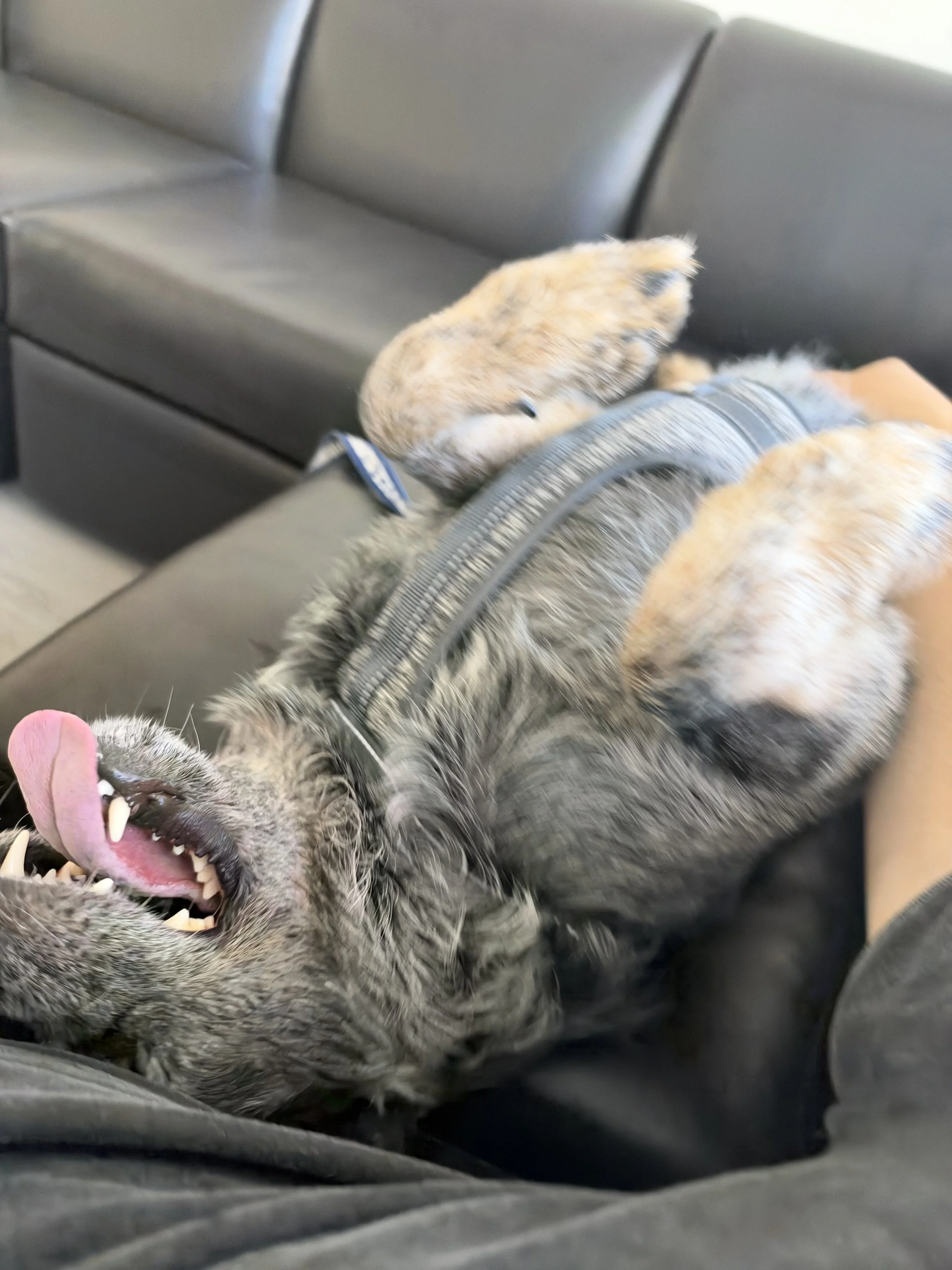 IMG_0828.jpeg