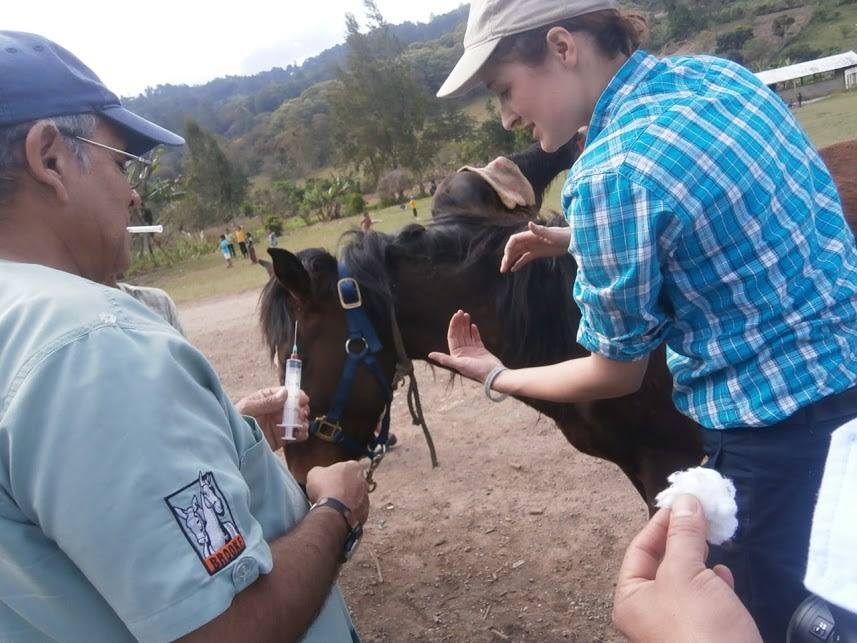 Supporting clinical skills development in Guatemala. Give a man a fish and he will eat for a day, teach a man to fish and he will feed for a lifetime. Brooke's mantra