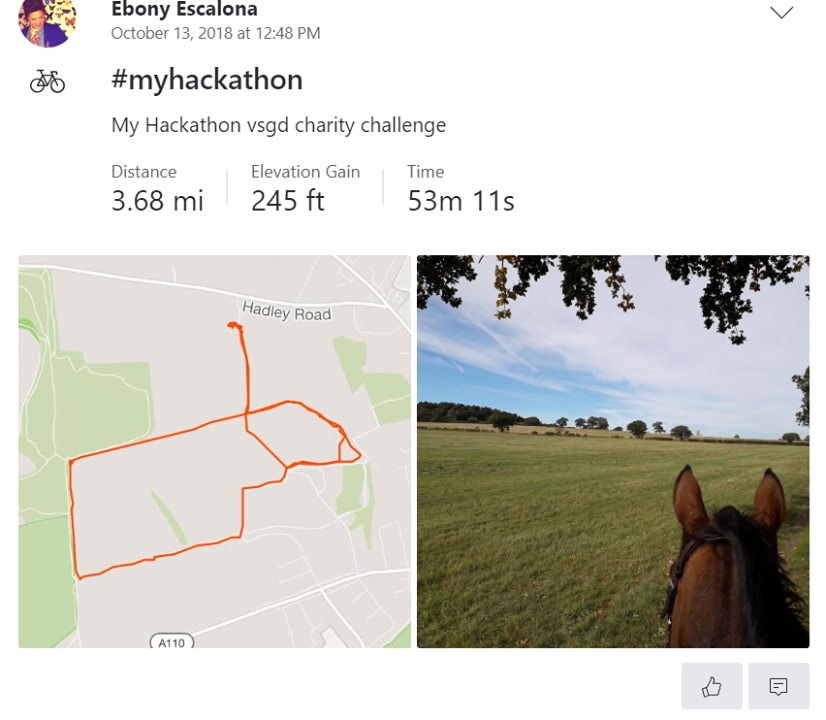 Ebony on her ex-racer Francis Albert for Brooke's My Hackathon charity challenge- ride 100 miles in a 100 days and raise £100 for Brooke https://www.justgiving.com/fundraising/ebony-escalona-vet