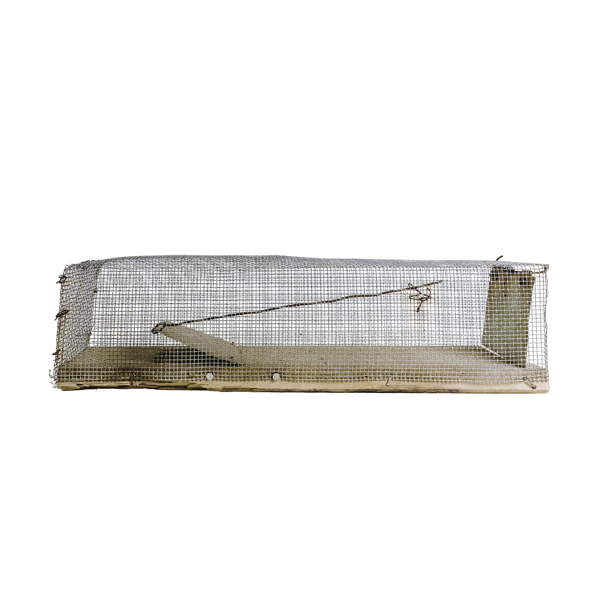mousetrap Tumbnail.png
