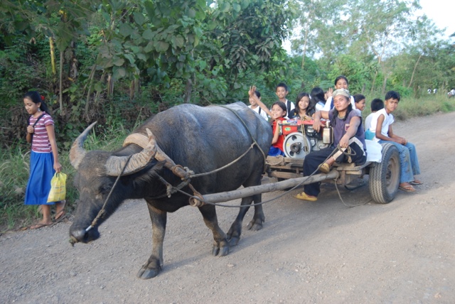 On the way to school