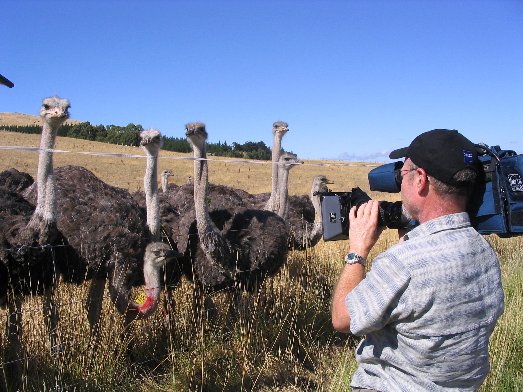 Marc and the locals check each other out