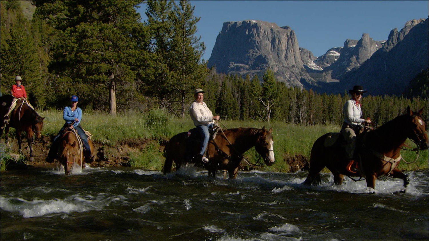 horses in the water.jpg