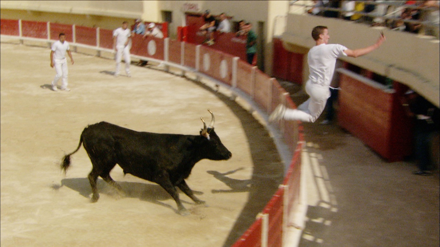 FFOTW_107_guy jumping fence.jpg