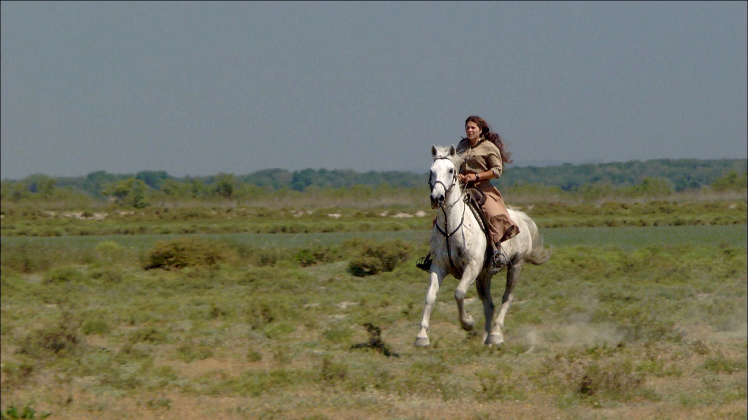 FFOTW_107_woman rider.jpg