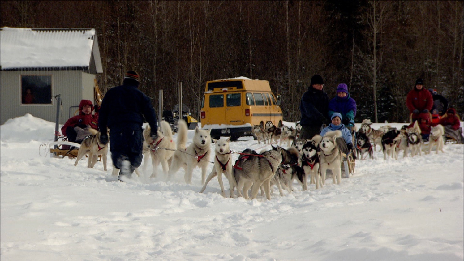 FFOTW_104_dogs lined up.jpg