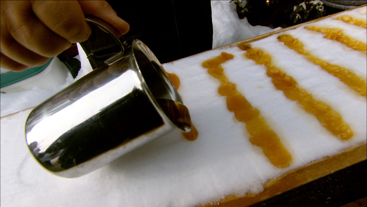FFOTW_104_maple in snow.jpg