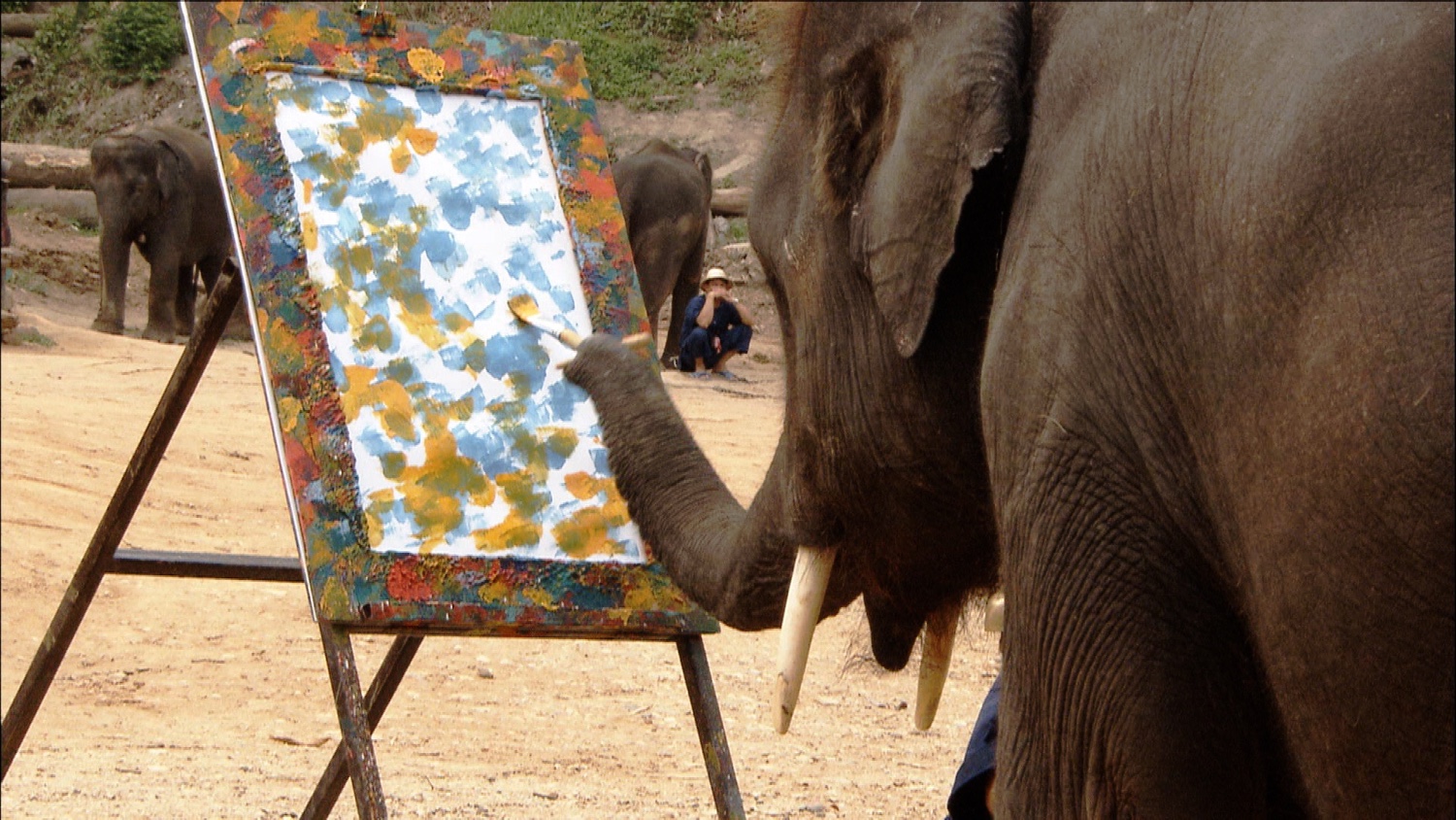 FFOTW_114_elephant paints.jpg