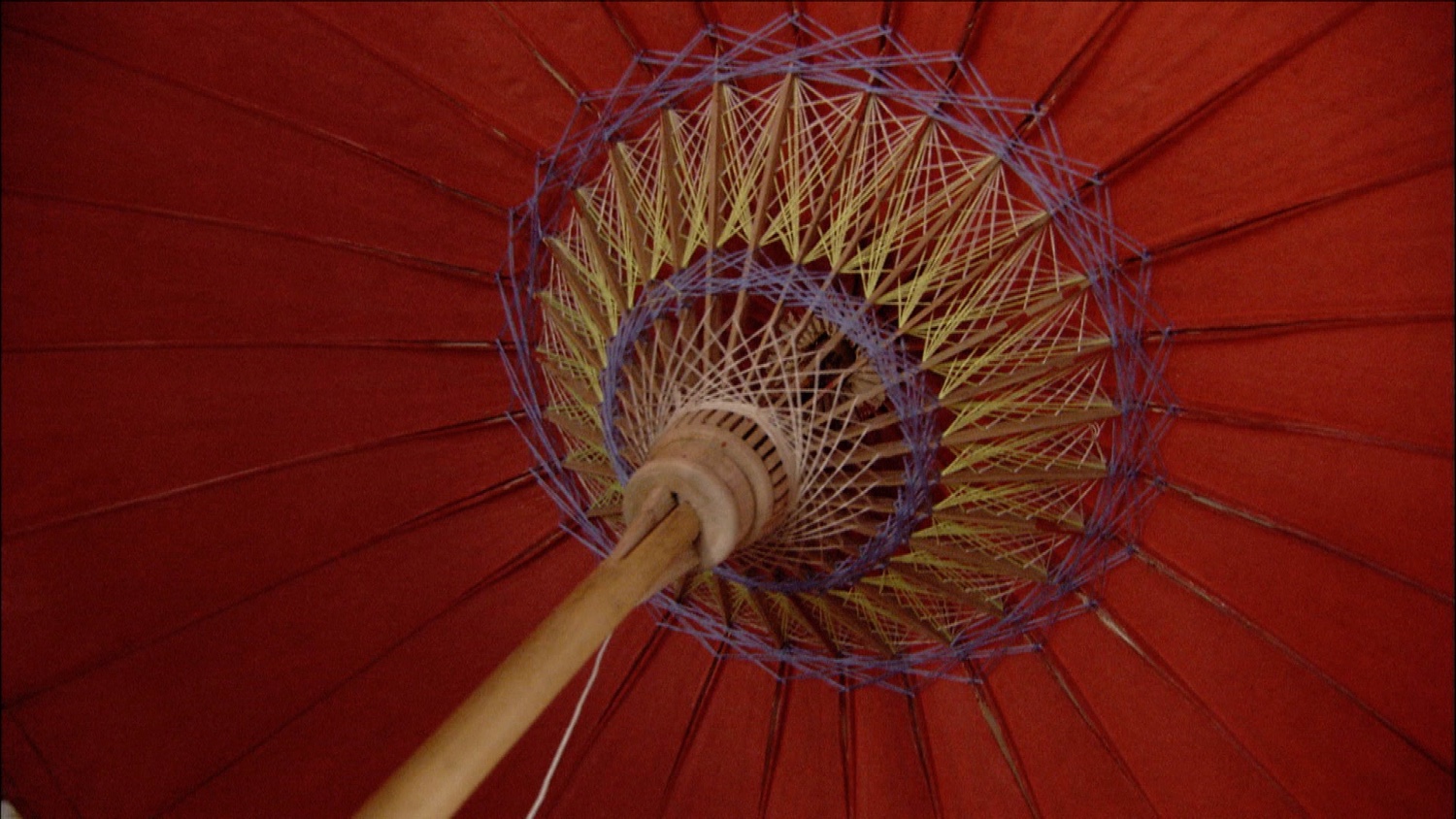 FFOTW_114_inside umbrella.jpg
