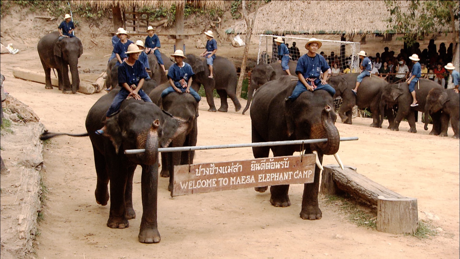 FFOTW_114_ws elephant camp.jpg