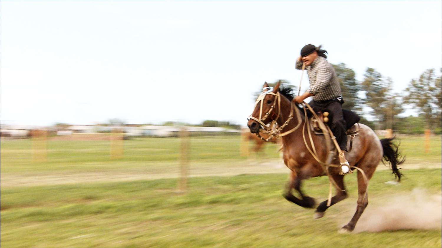 FFOTW_202_full gallop.jpg