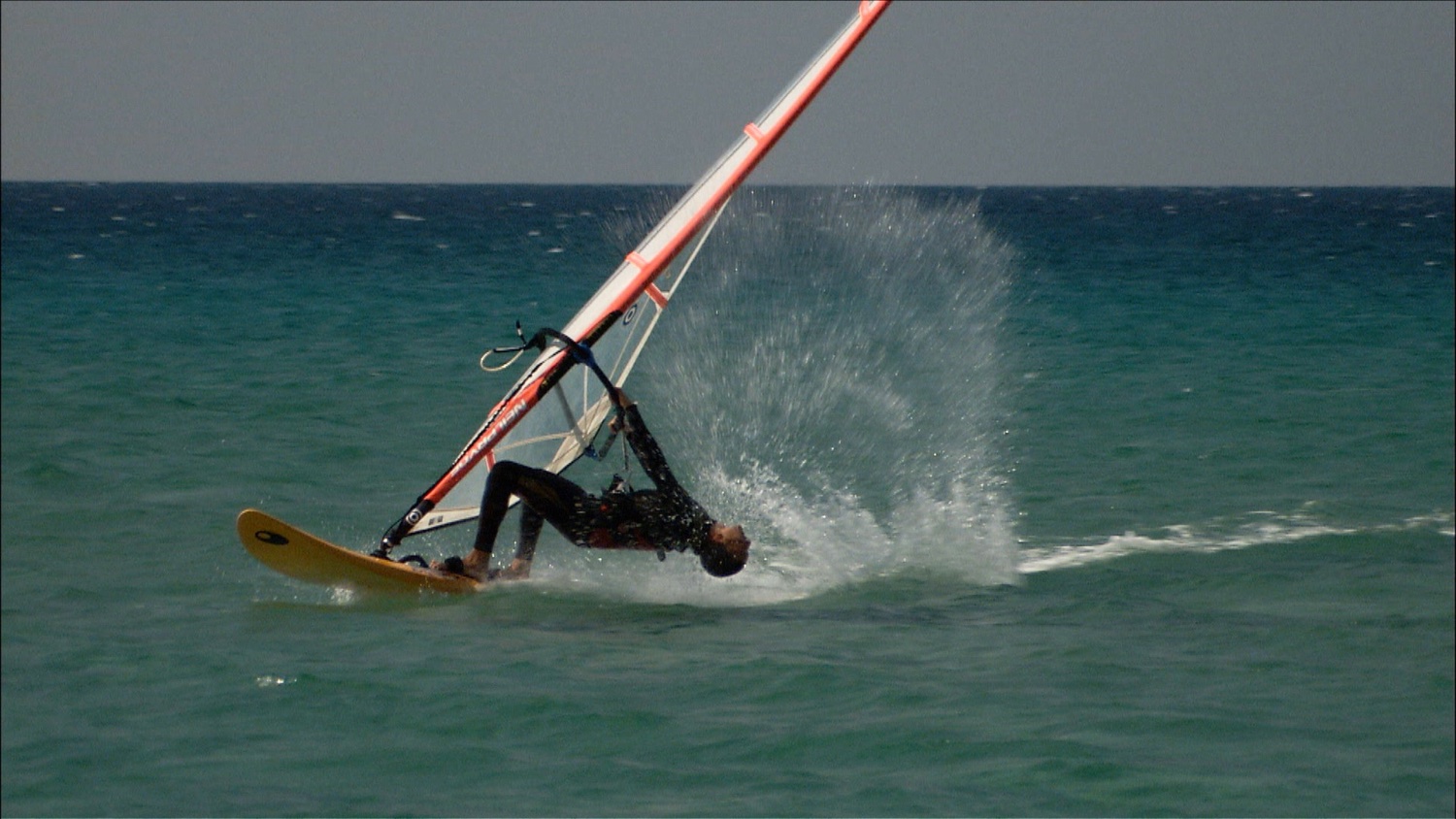 FFOTW_204_windsurfer.jpg