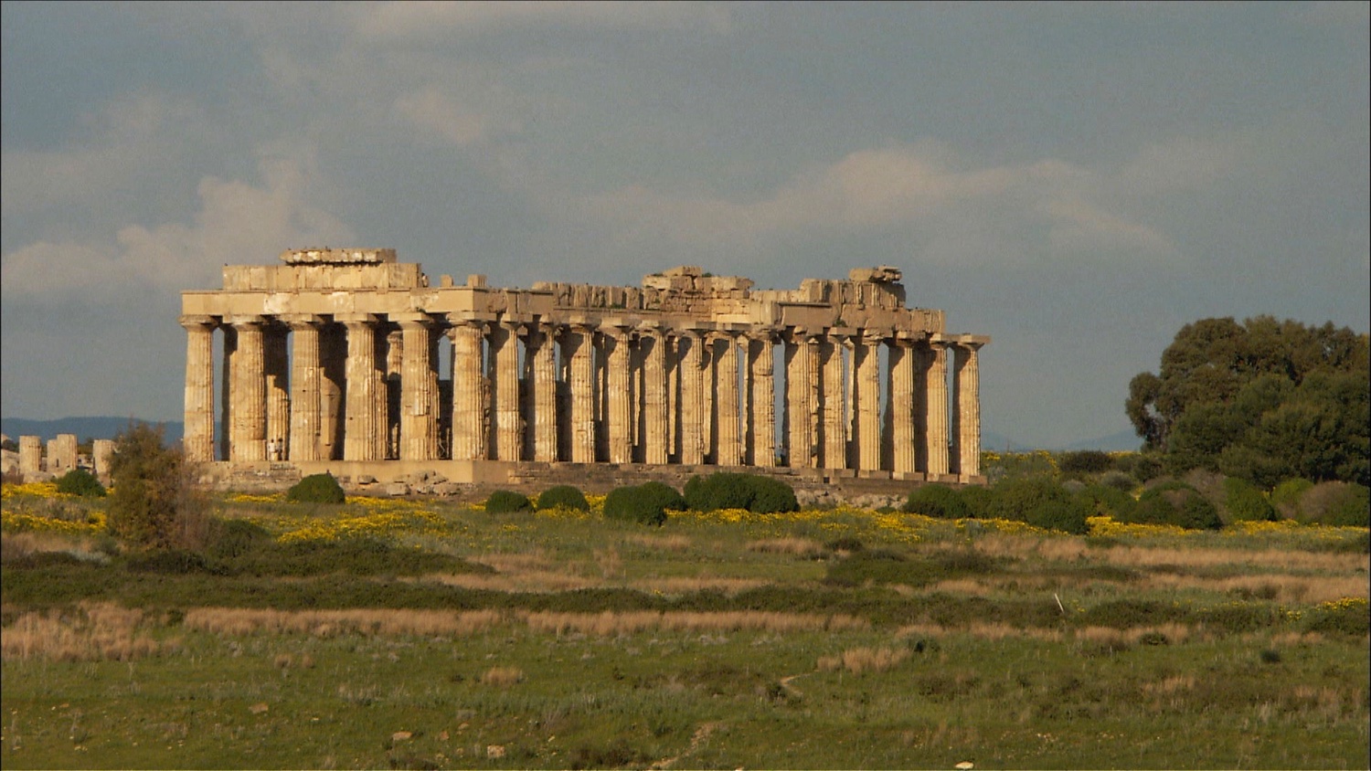 FFOTW_204_greek ruins.jpg