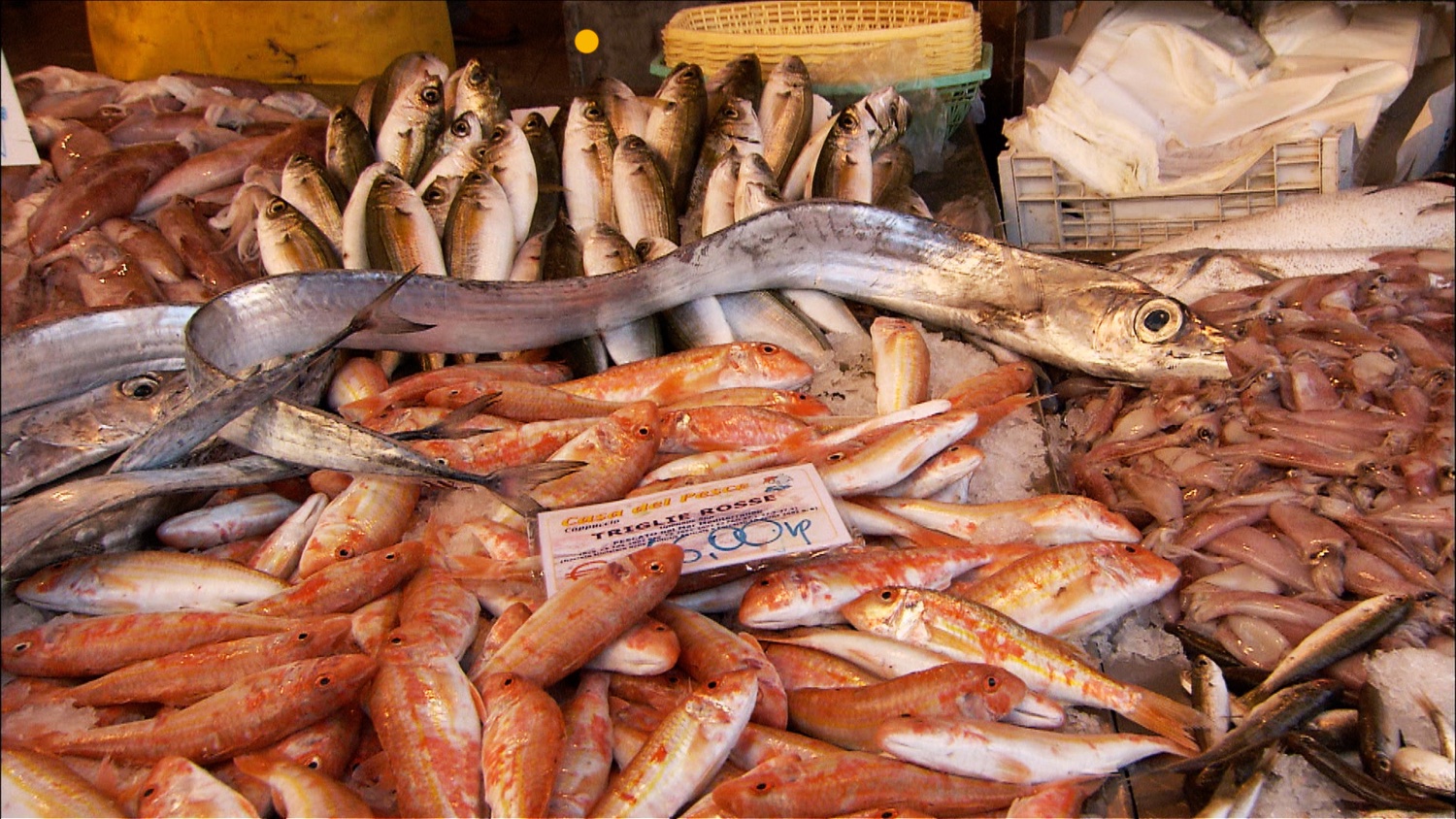 FFOTW_204_Fish in market.jpg