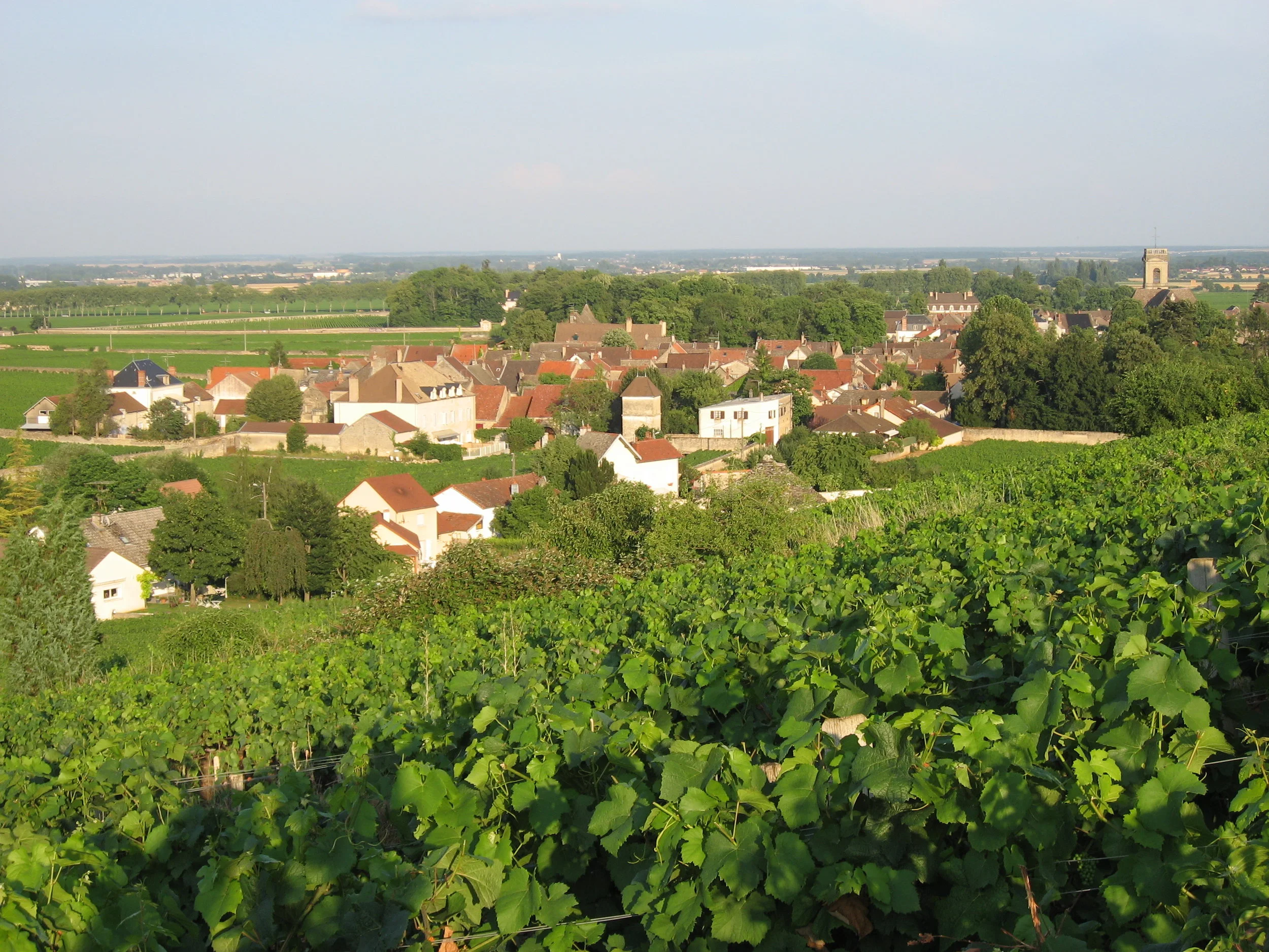 Burgundy country side.JPG