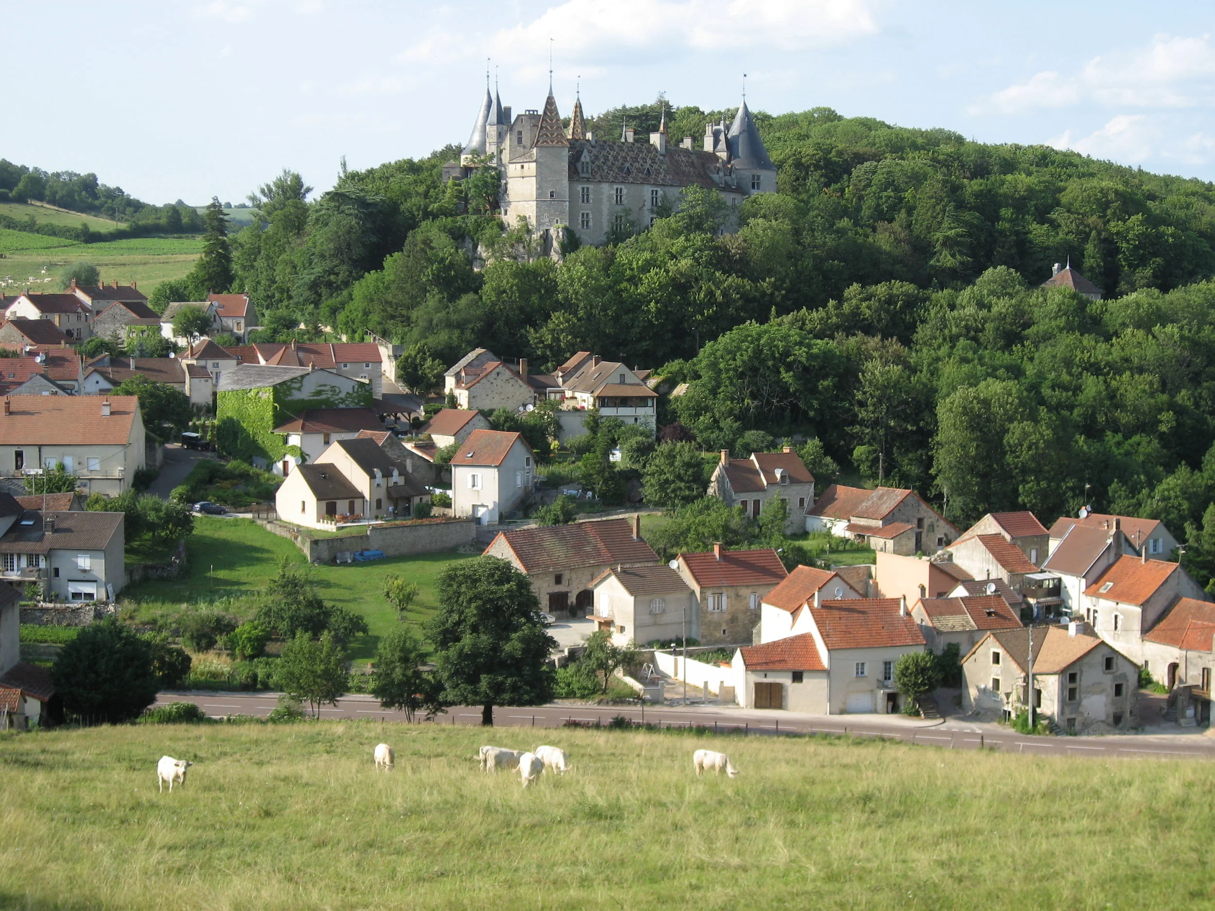 Burgundy landscape.JPG
