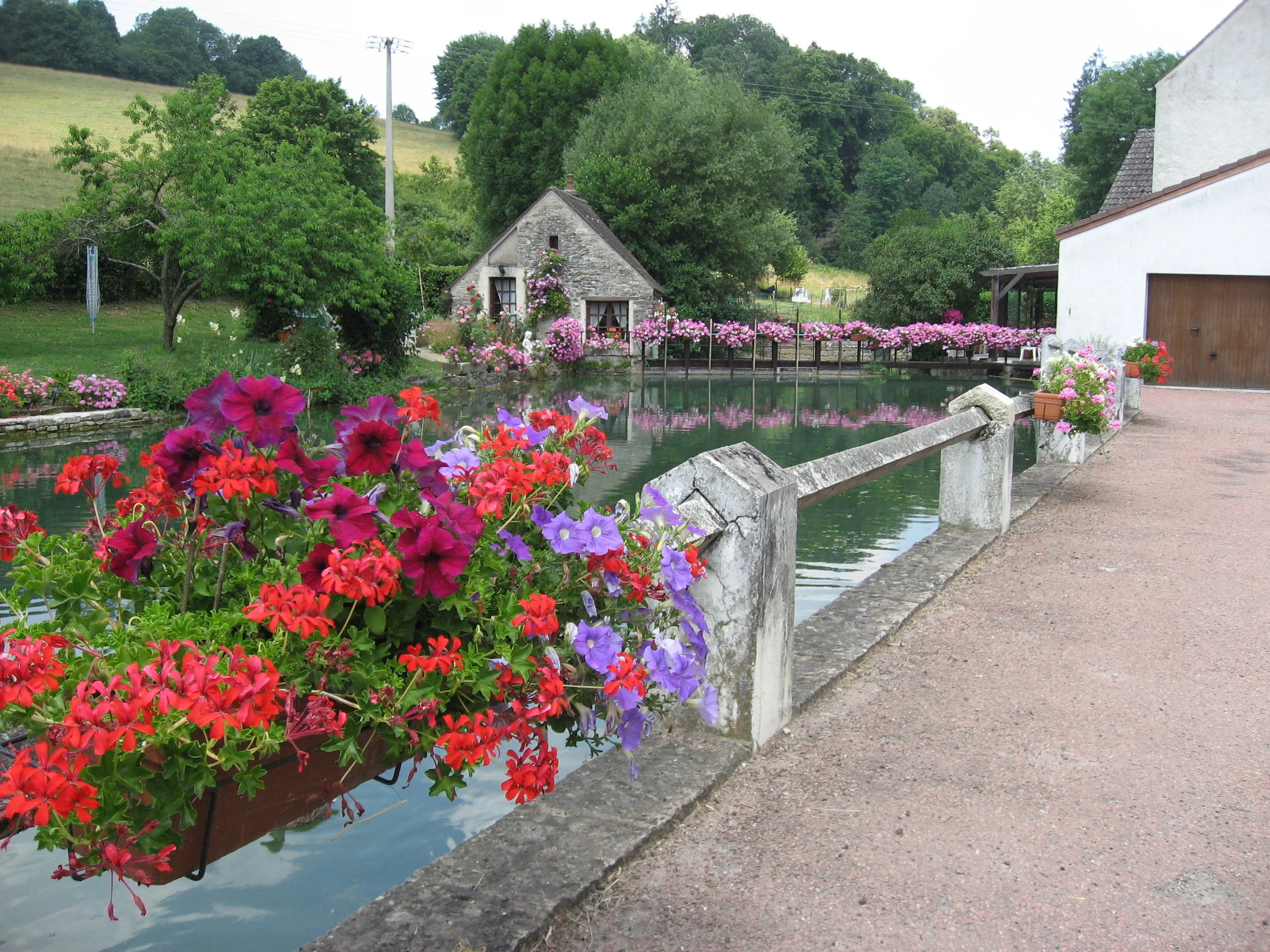 nice flowers.jpg