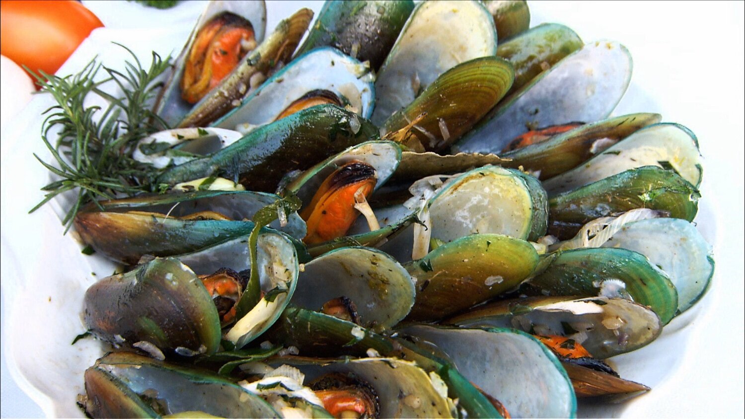 205_Philippines_green mussels.jpg