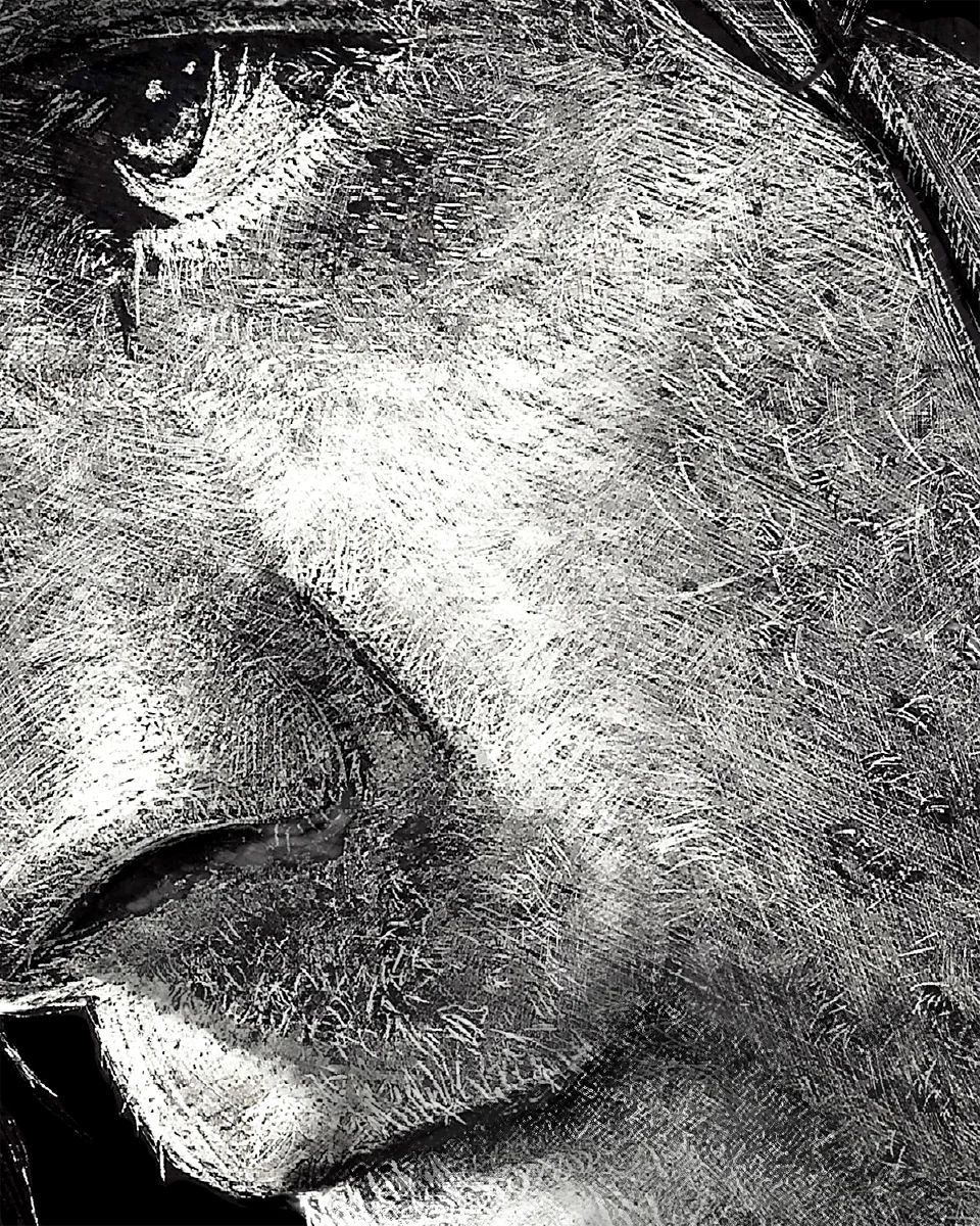 detail2.jpg