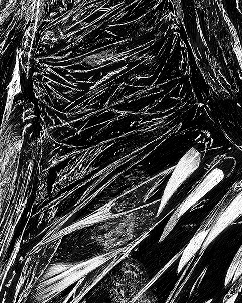 venomdetail2.jpg