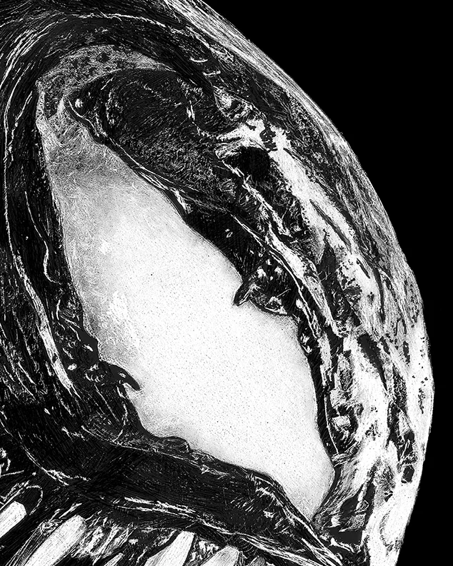 venomdetail1.jpg