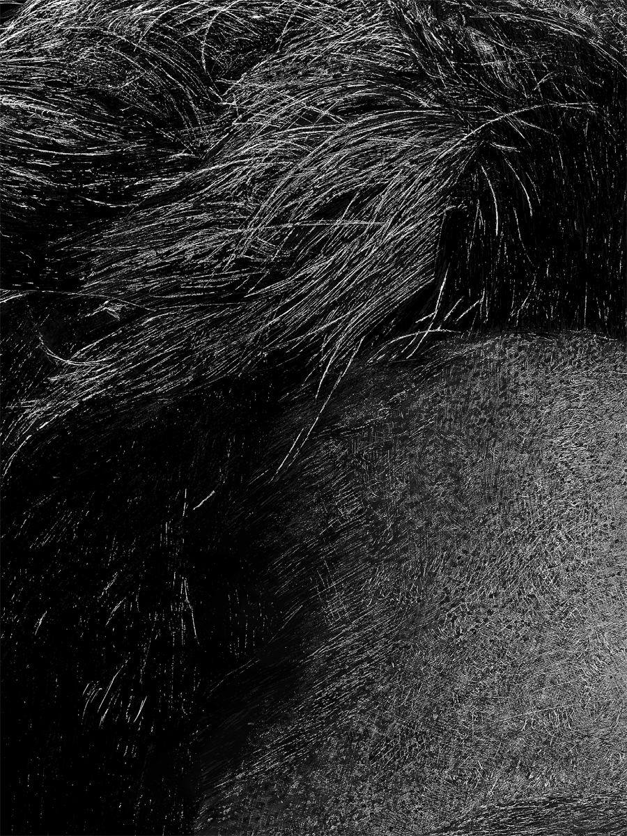 antman print detail2.jpg