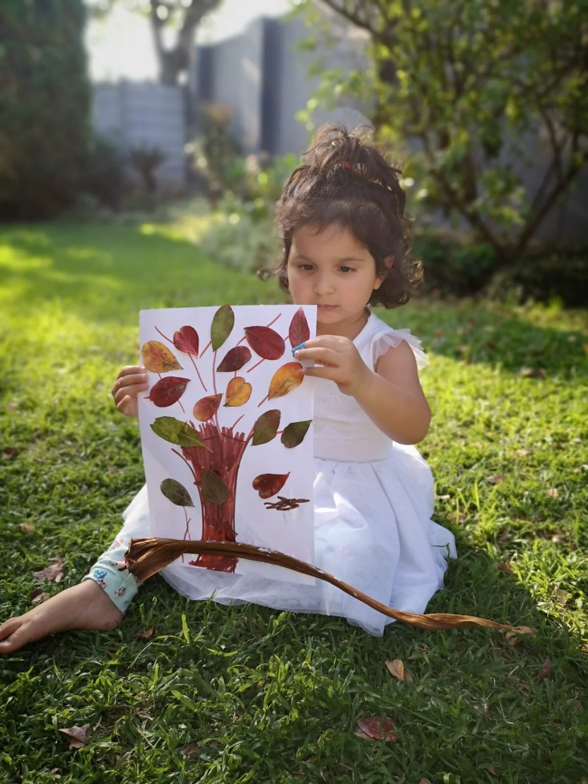 COVID19 week 4 Update 