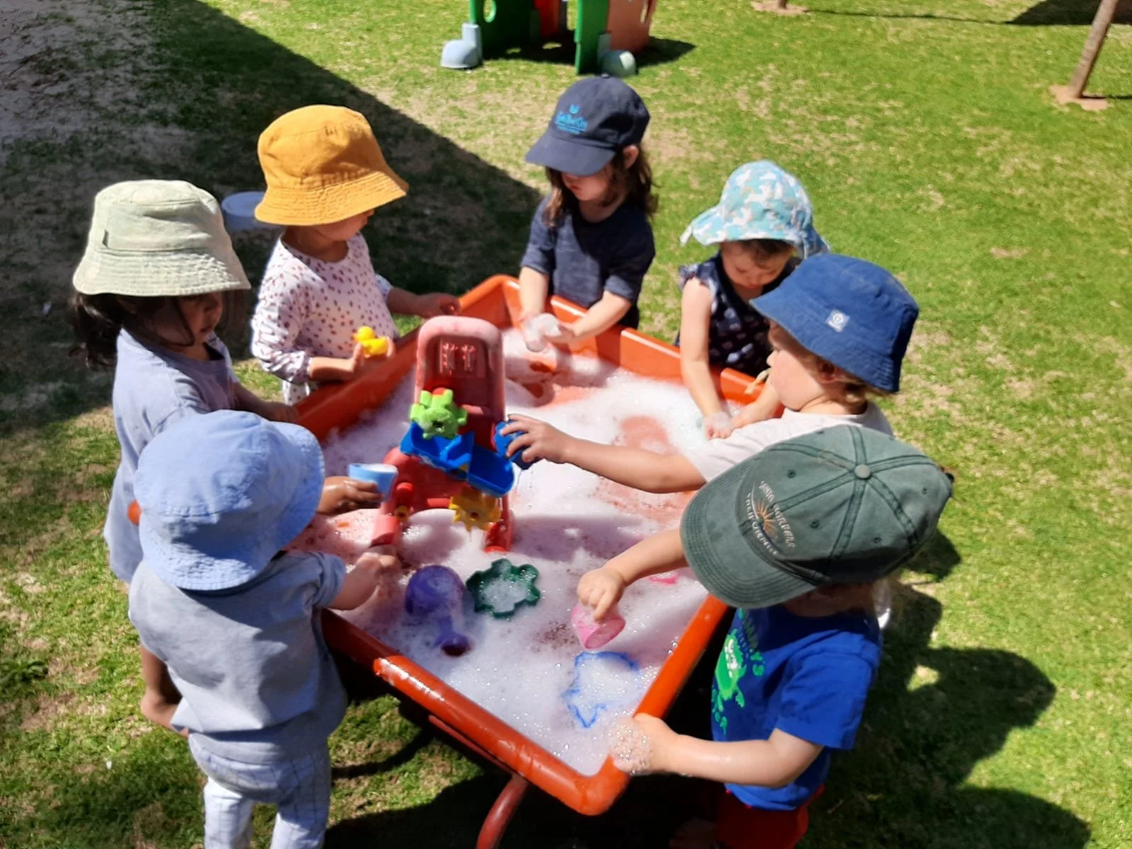 Is Your Child a Dandelion, an Orchid, or a Tulip? Understanding Your Child’s Biological Sensitivity by Ashley Soderlund Ph.D.