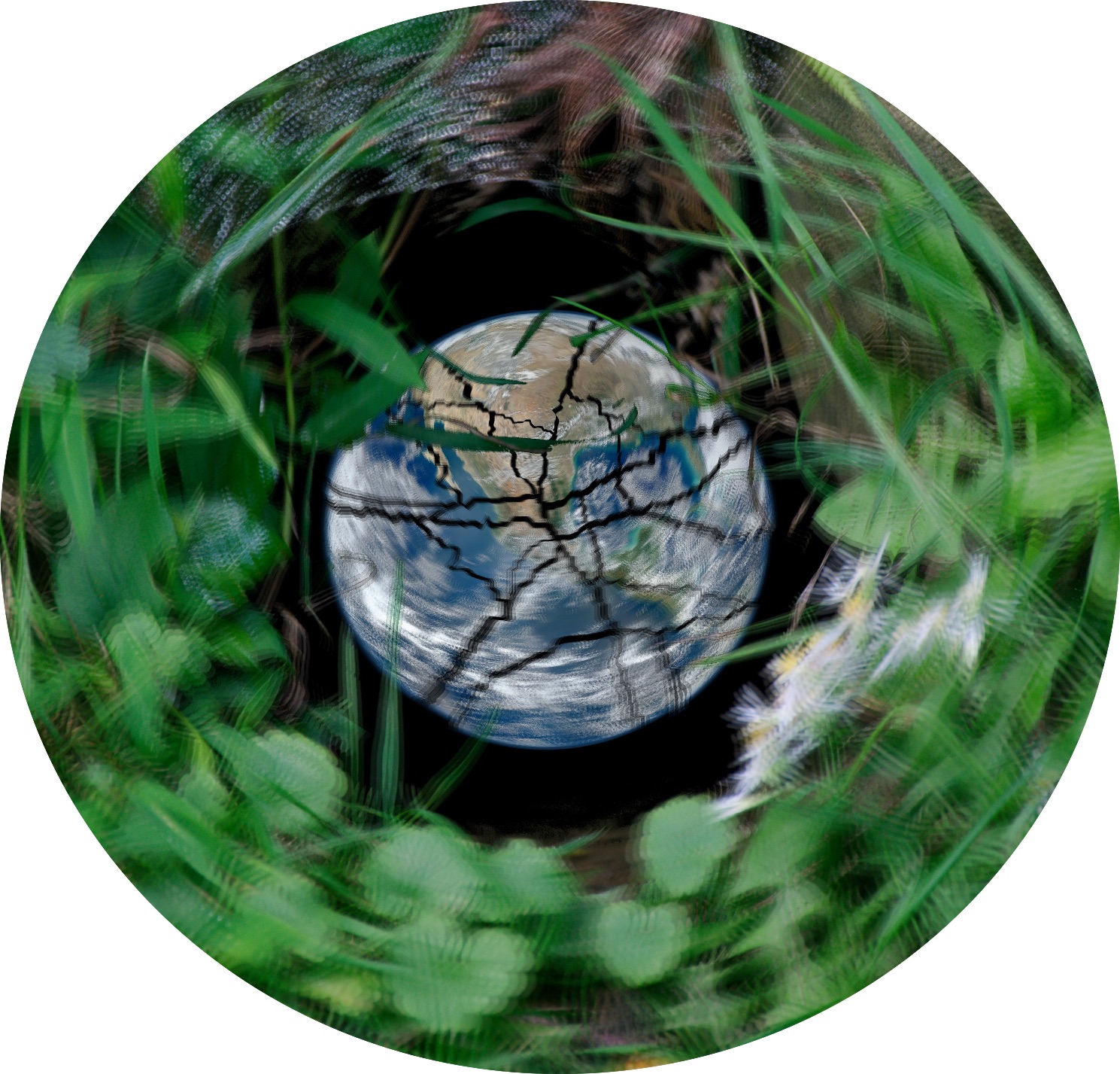 circle1_low.jpg
