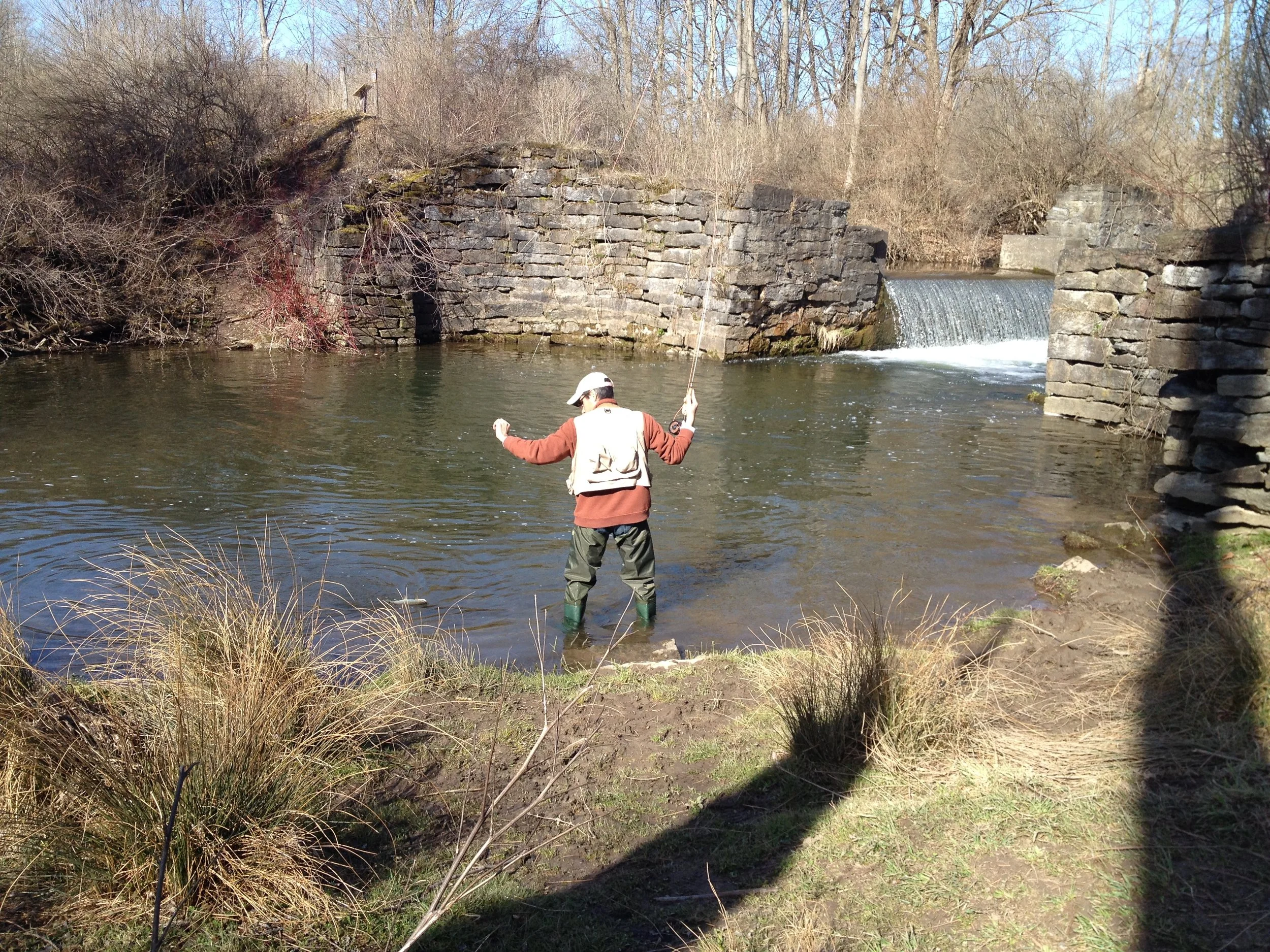 The Trout and the Trickster