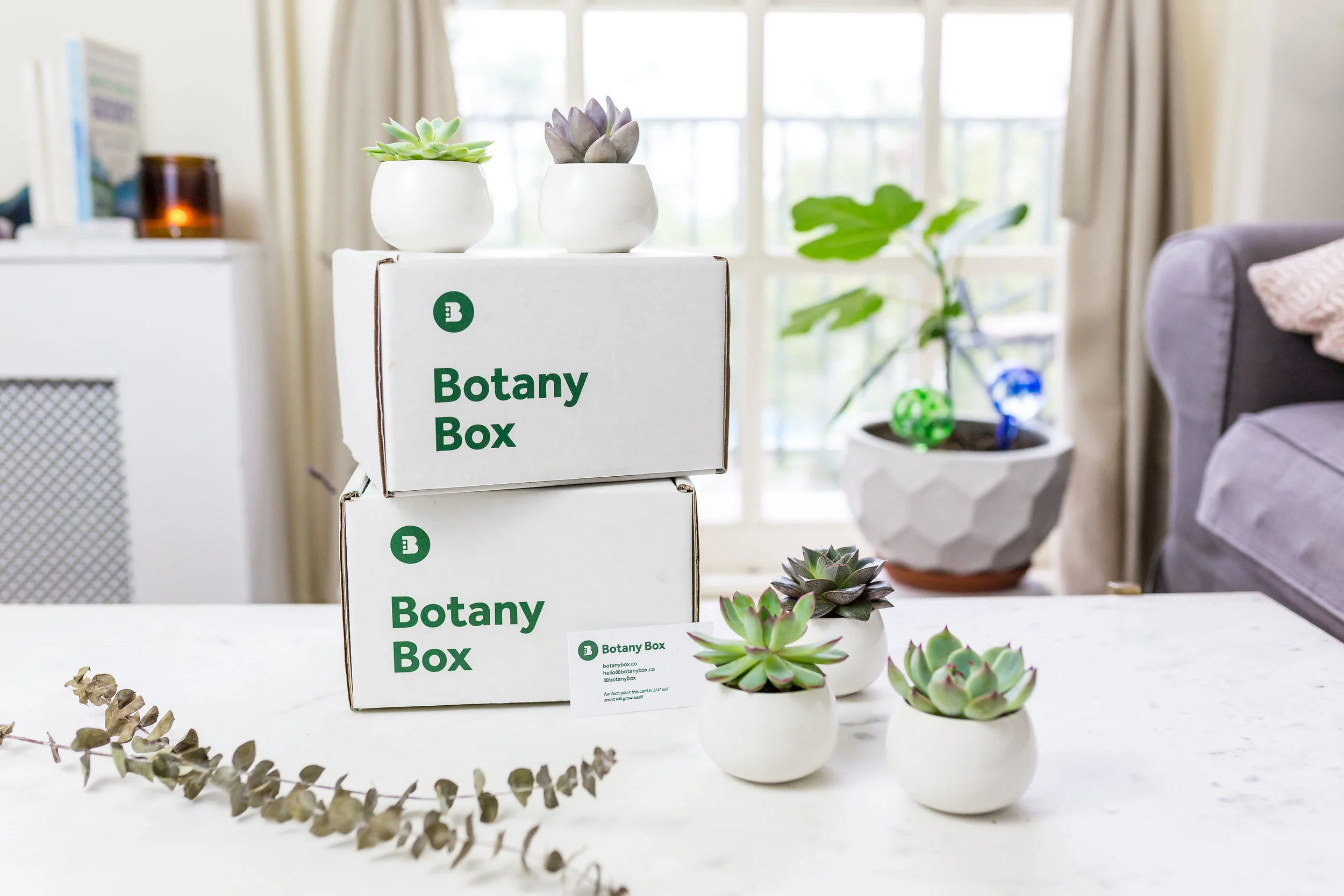BotanyBox_Website_DDCreative1070.jpg