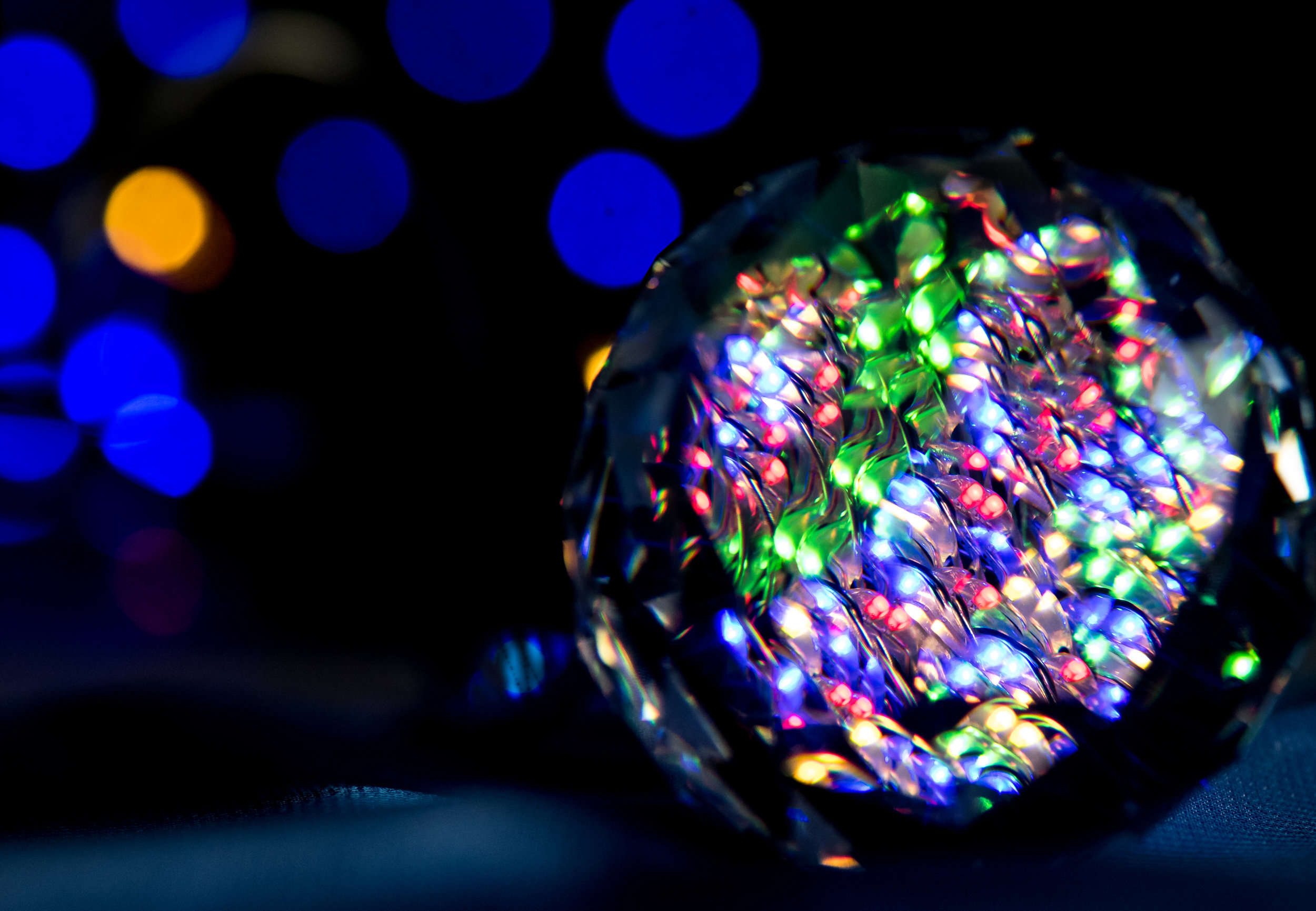 DSC_3282.jpg