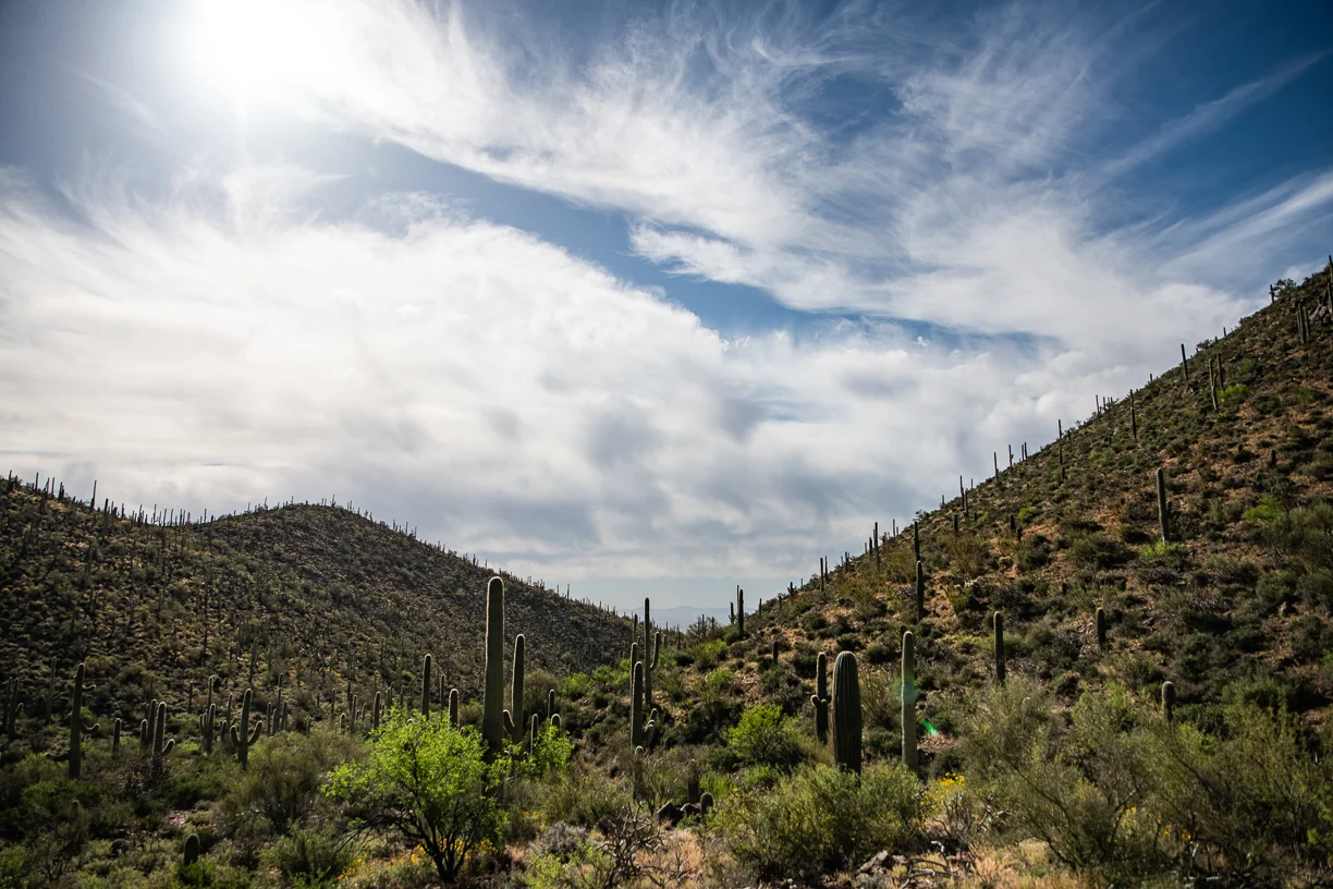DSC_3565.jpg