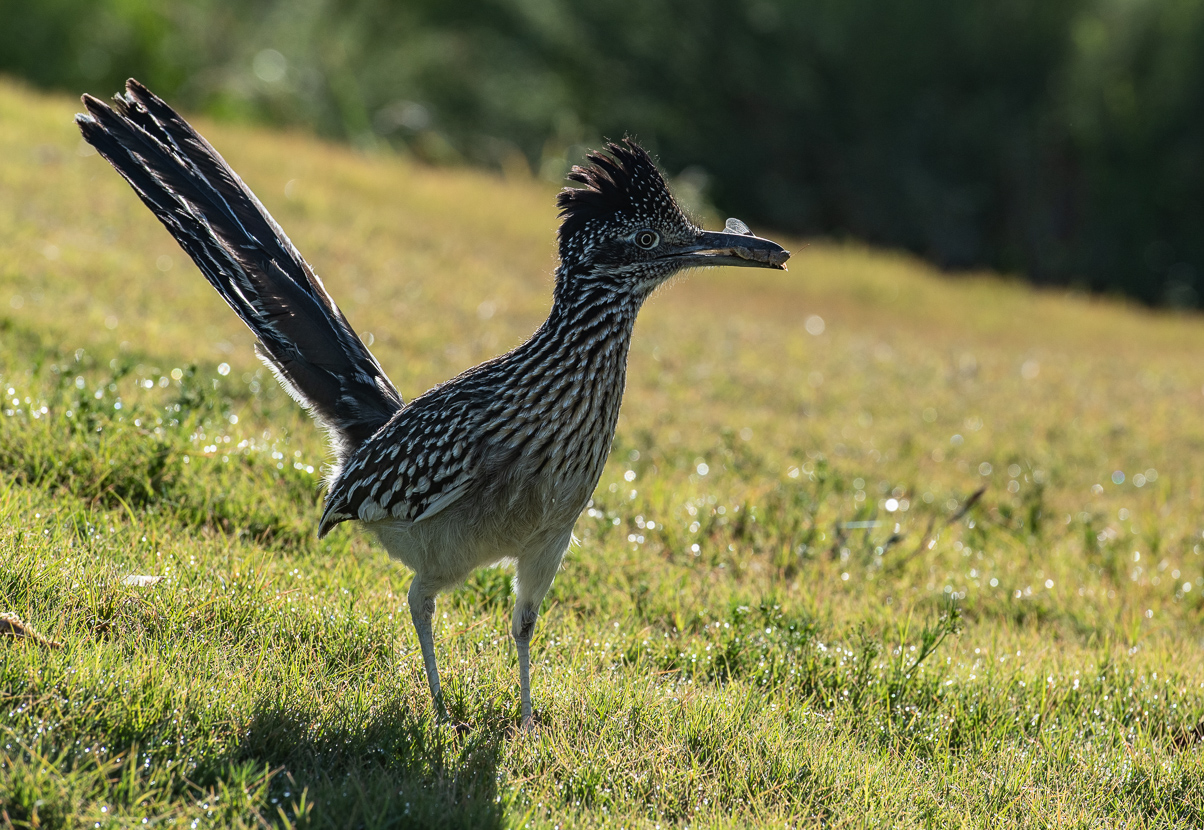 DSC_4055.jpg