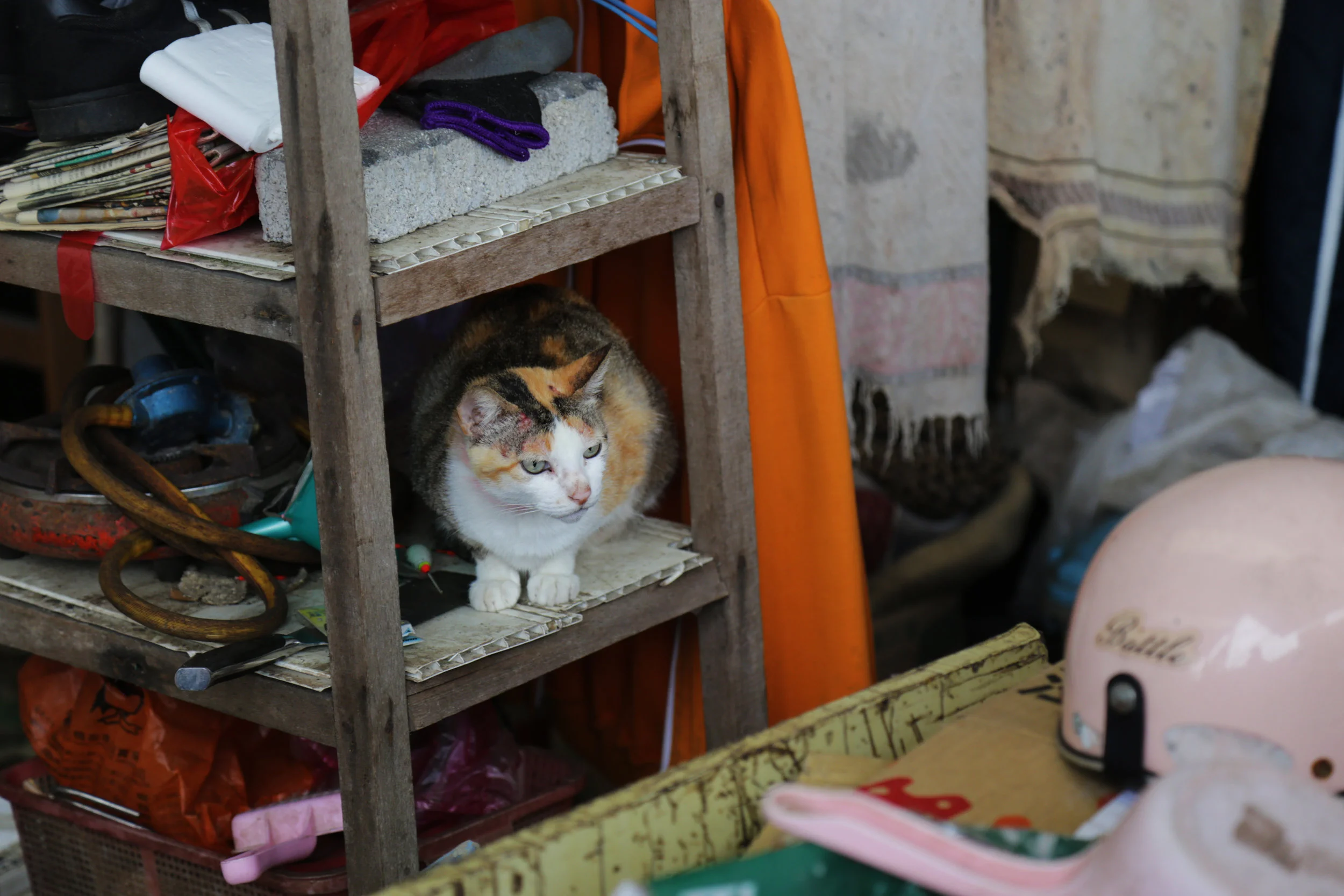 IMG_2020.jpg