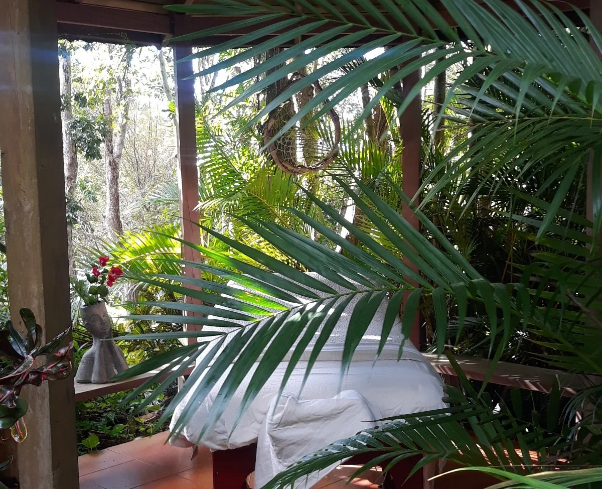 Resized_20230130_091453.JPEG