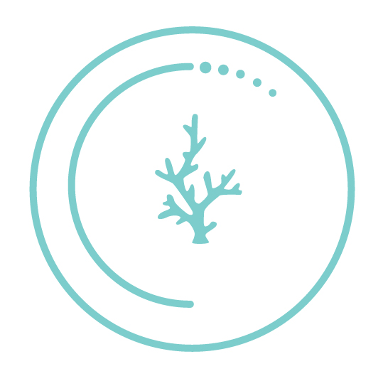 DIA teal icon.jpg