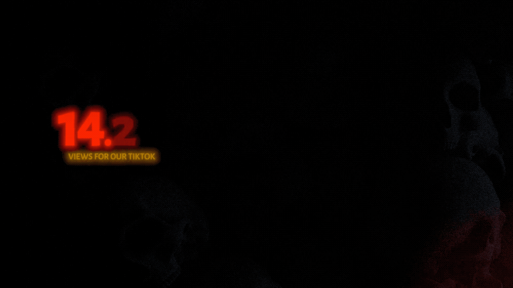 Dark background with red and yellow text displaying "14.2 views for our TikTok".