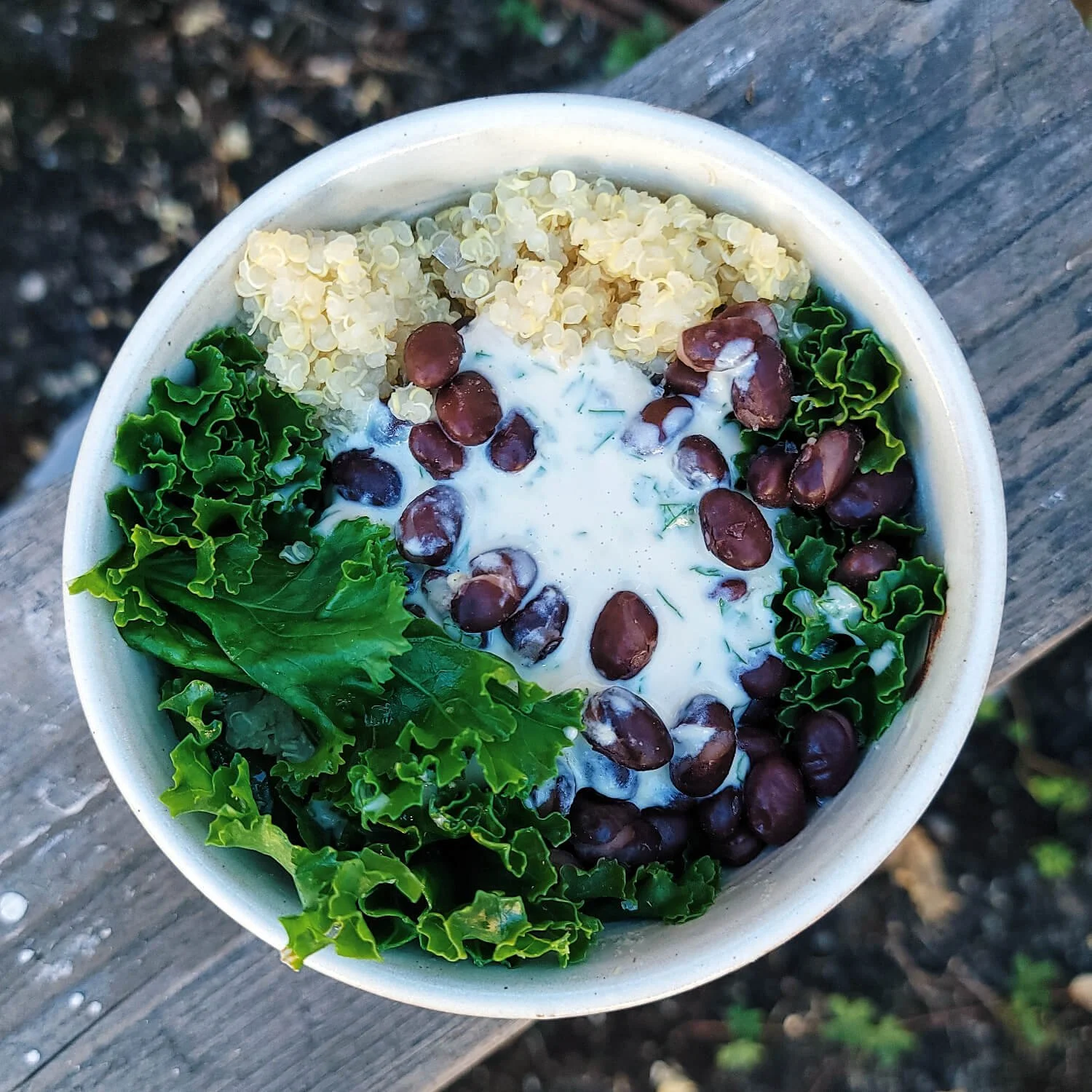 Black Bean, Kale, Quinoa Bowl