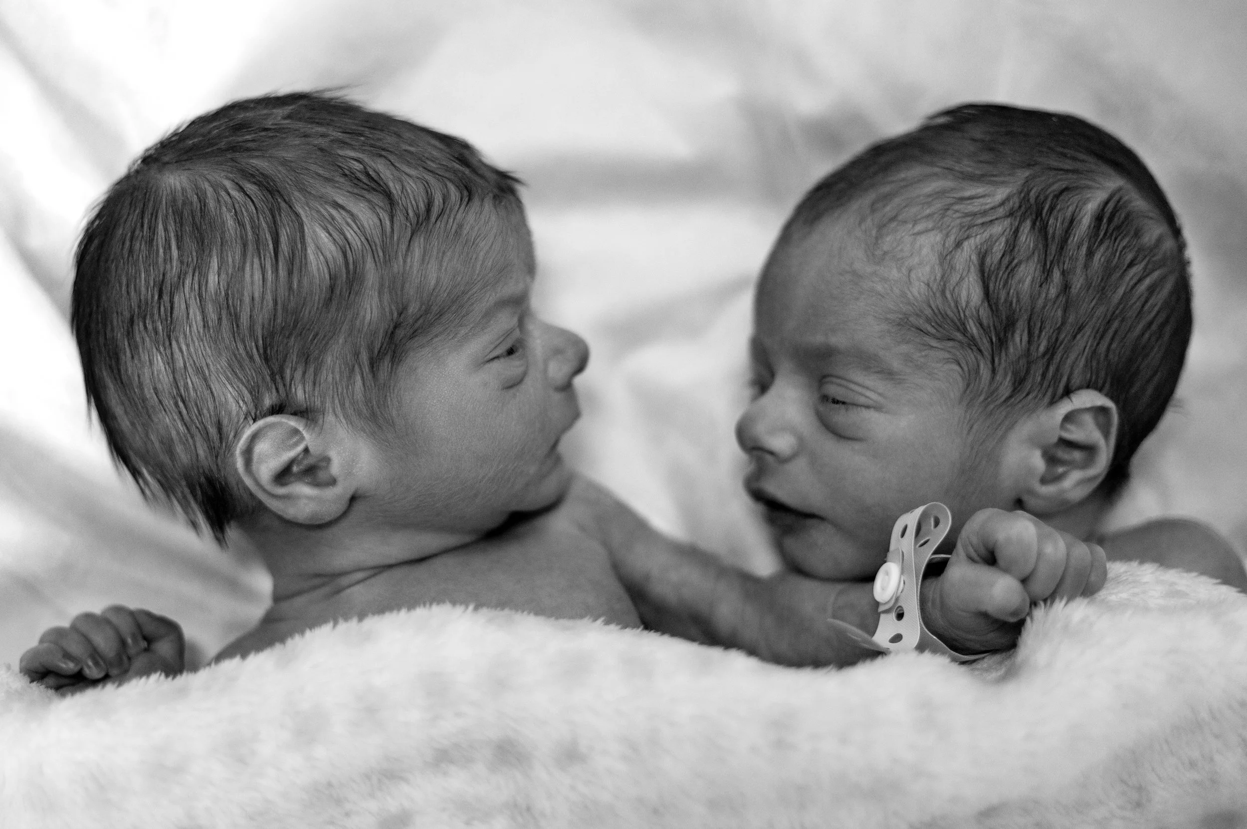 affection-babies-bed-1115754.jpg